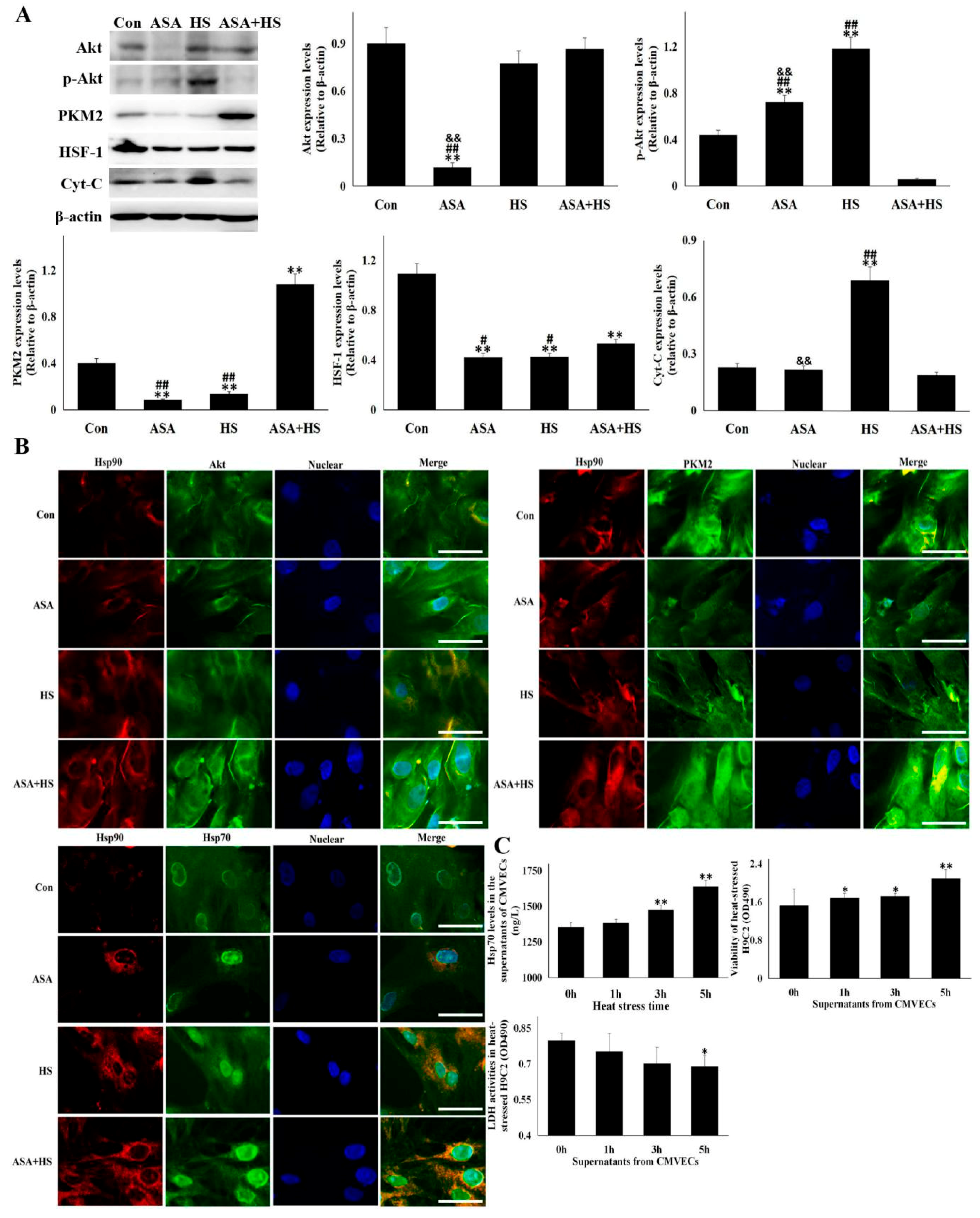 Cells 09 00243 g007 Cells 09 00243 g007