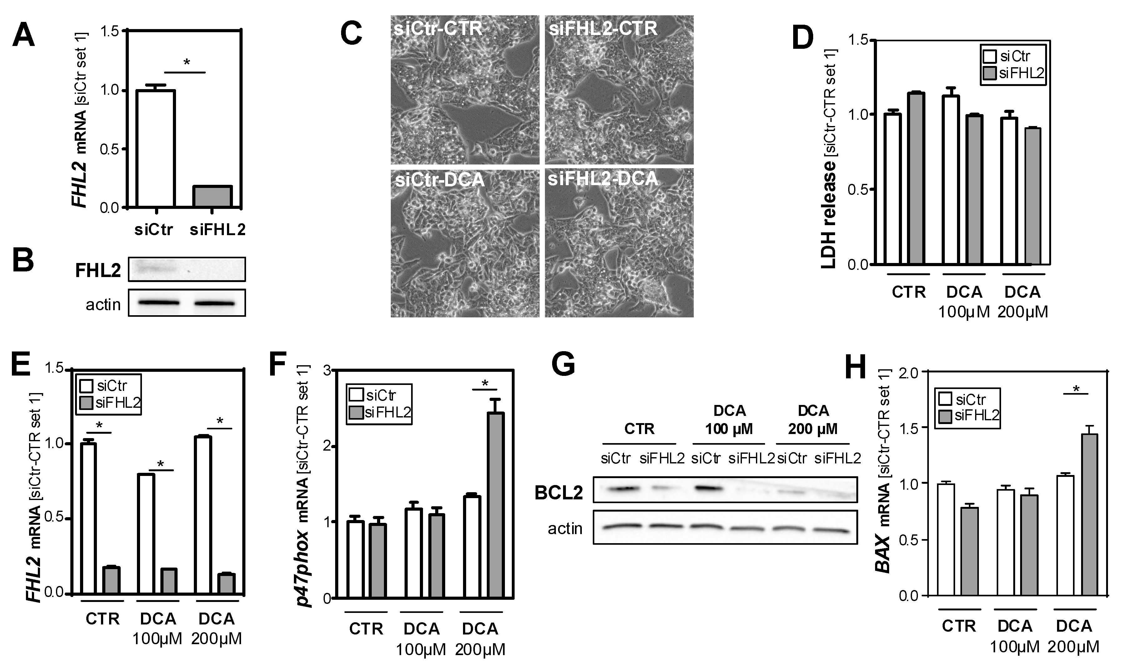 Cells 09 00248 g003 Cells 09 00248 g003