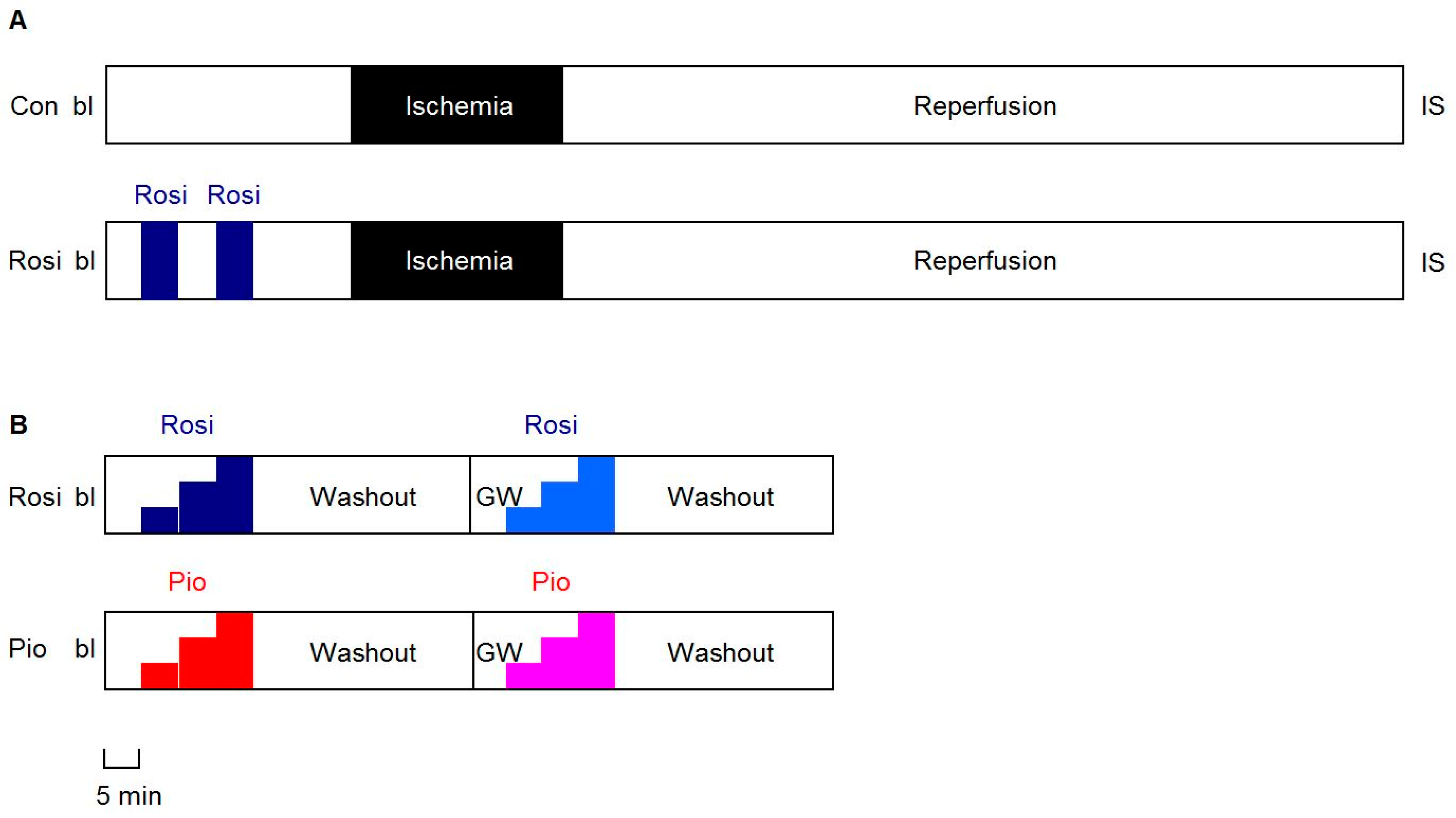 Cells 09 00252 g001 Cells 09 00252 g001