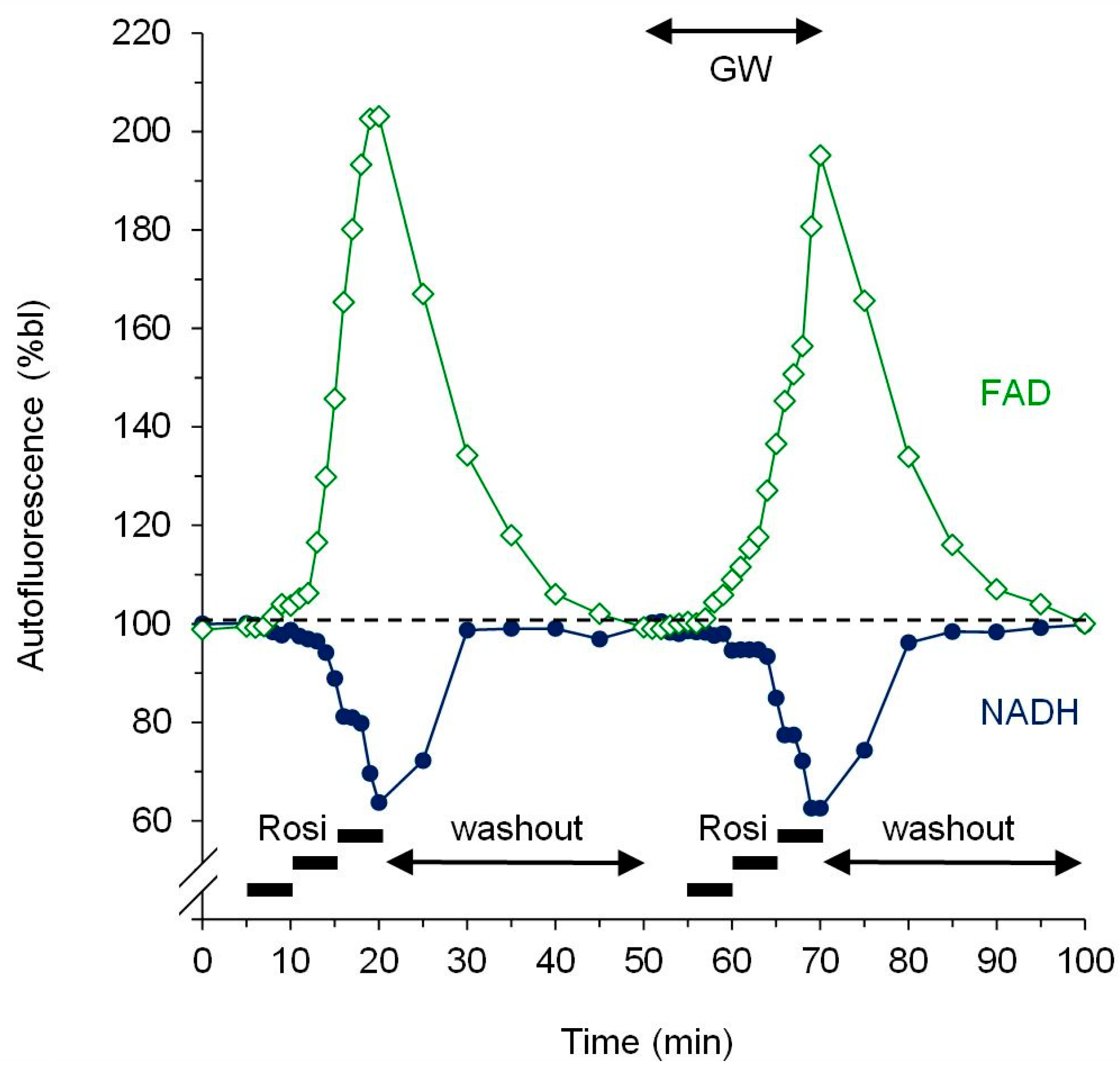 Cells 09 00252 g002 Cells 09 00252 g002