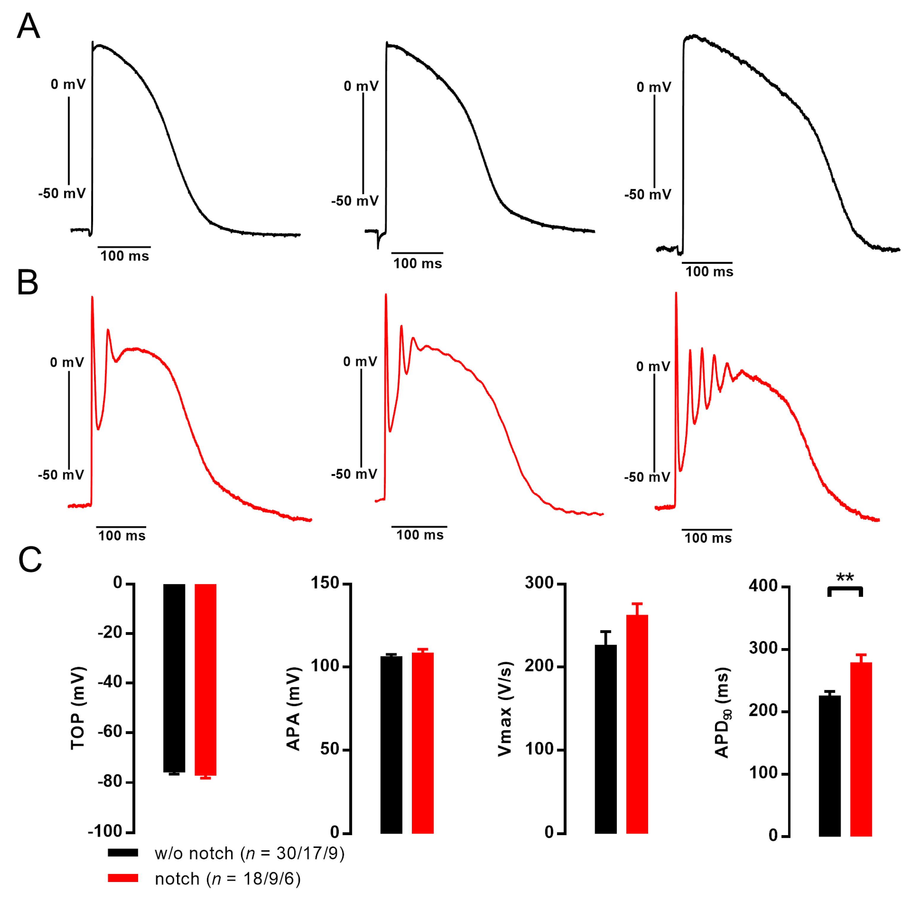 Cells 09 00253 g002 Cells 09 00253 g002