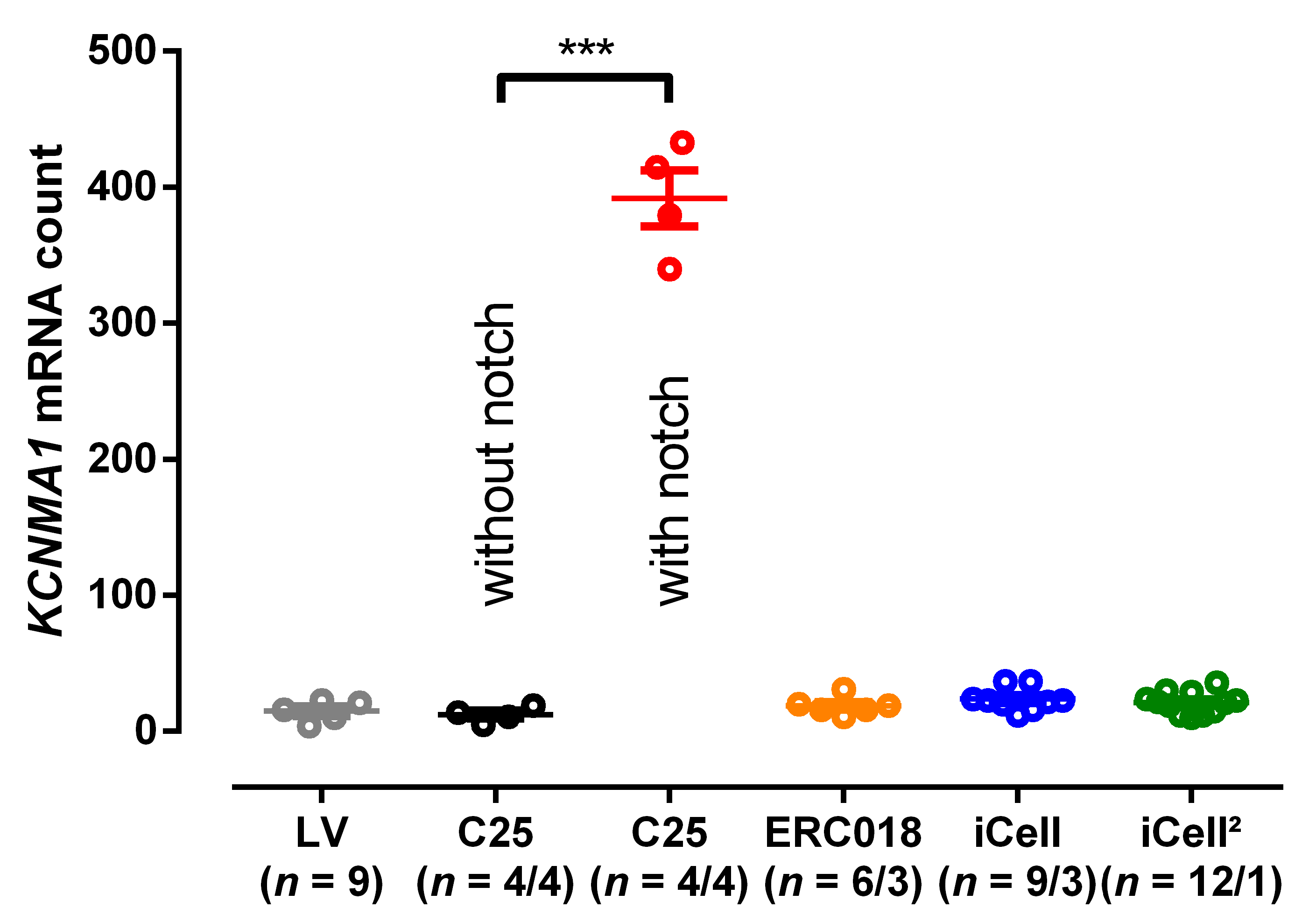 Cells 09 00253 g004 Cells 09 00253 g004