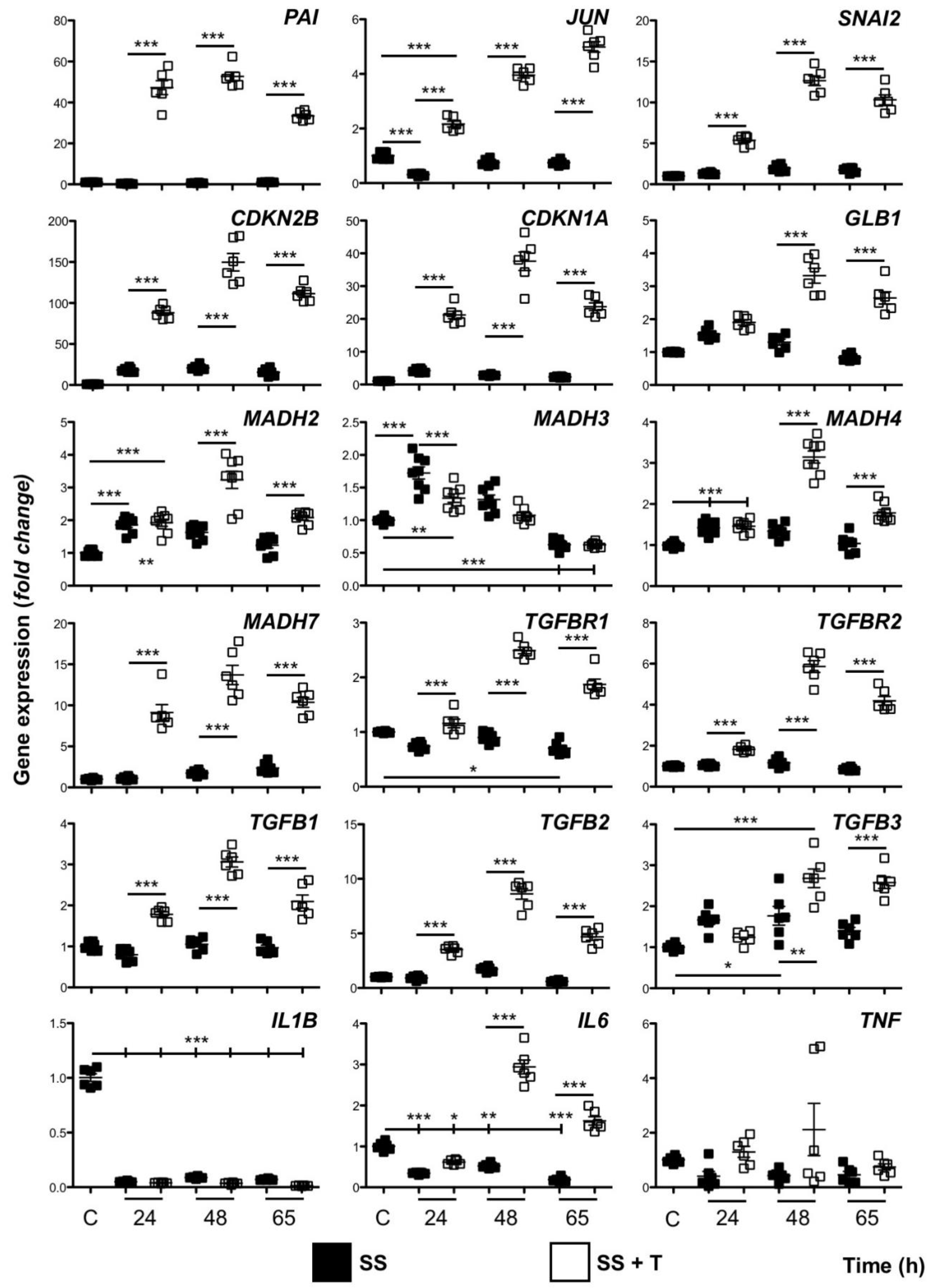 Cells 09 00255 g002 Cells 09 00255 g002