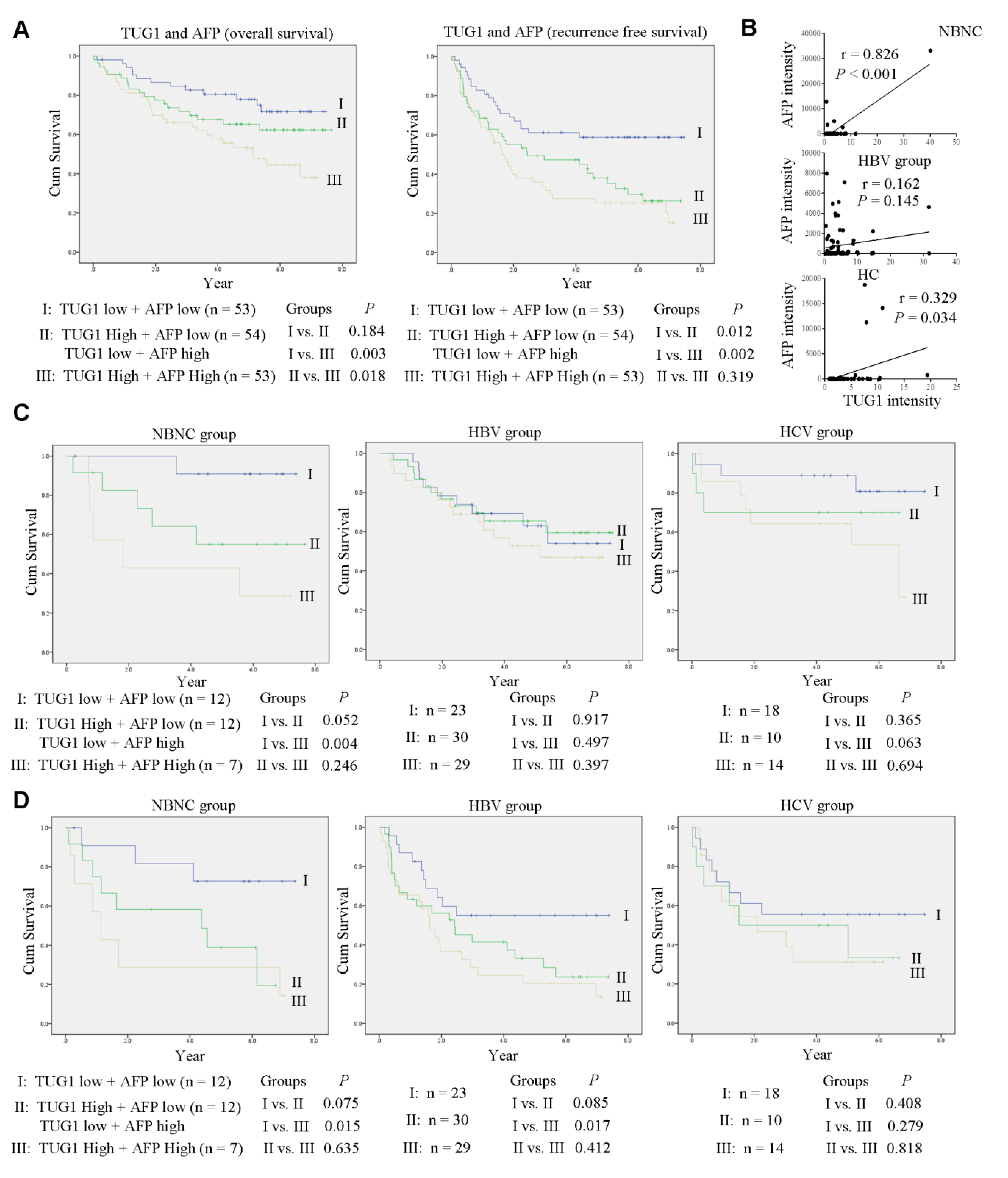Cells 09 00262 g005 Cells 09 00262 g005