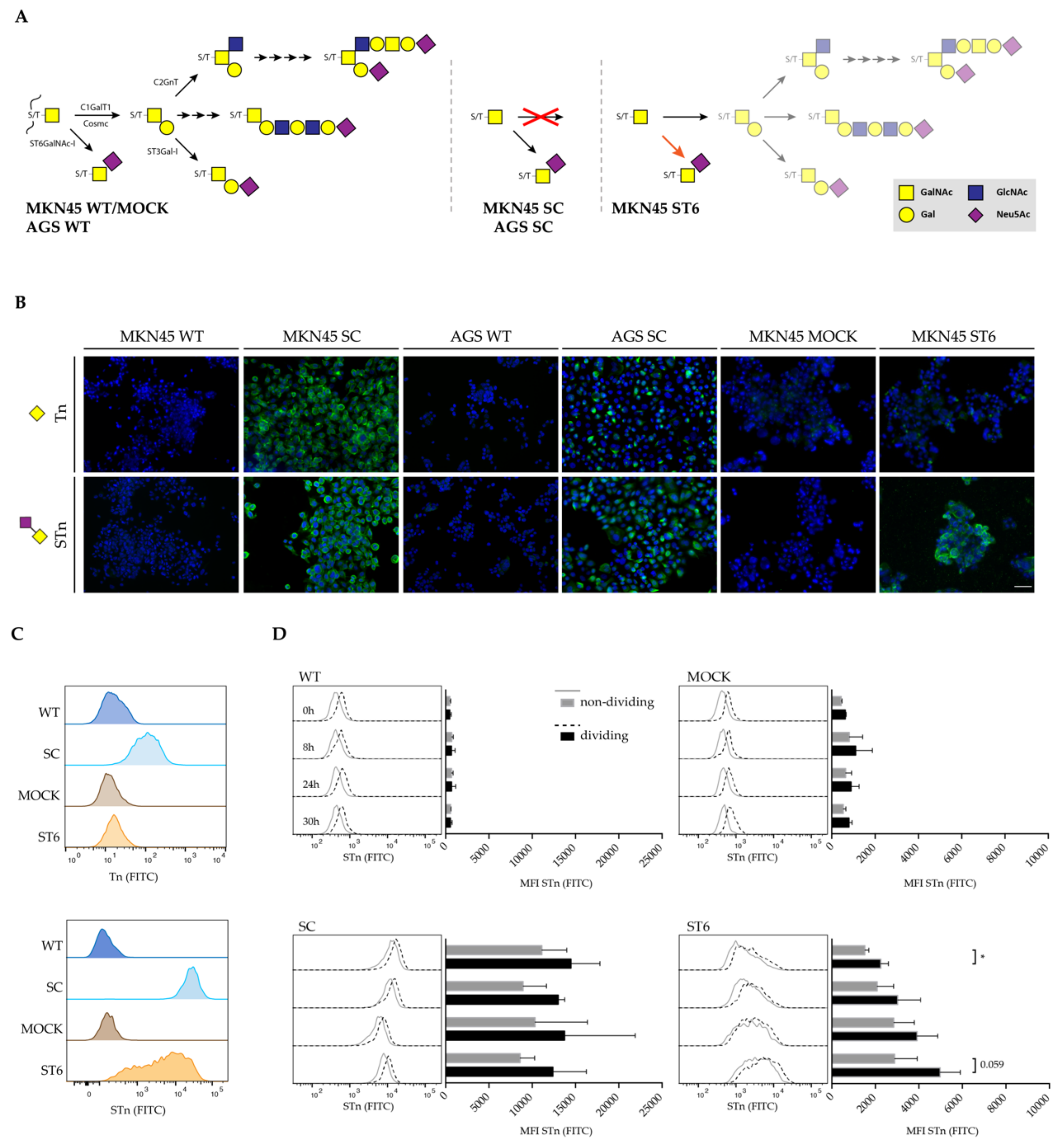Cells 09 00264 g001 Cells 09 00264 g001