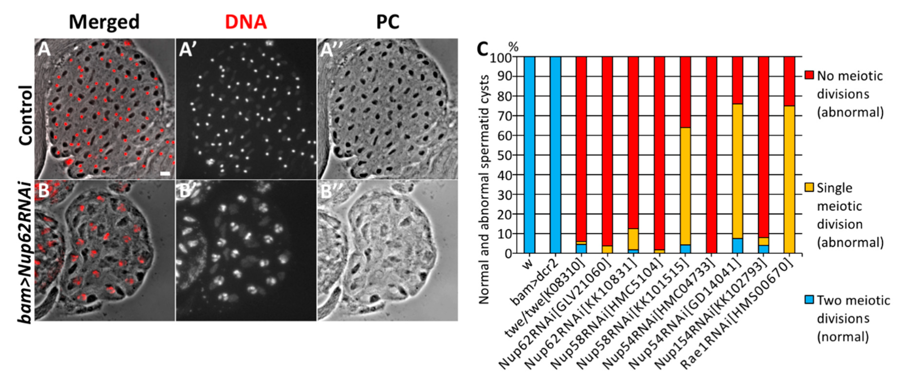 Cells 09 00270 g001 Cells 09 00270 g001