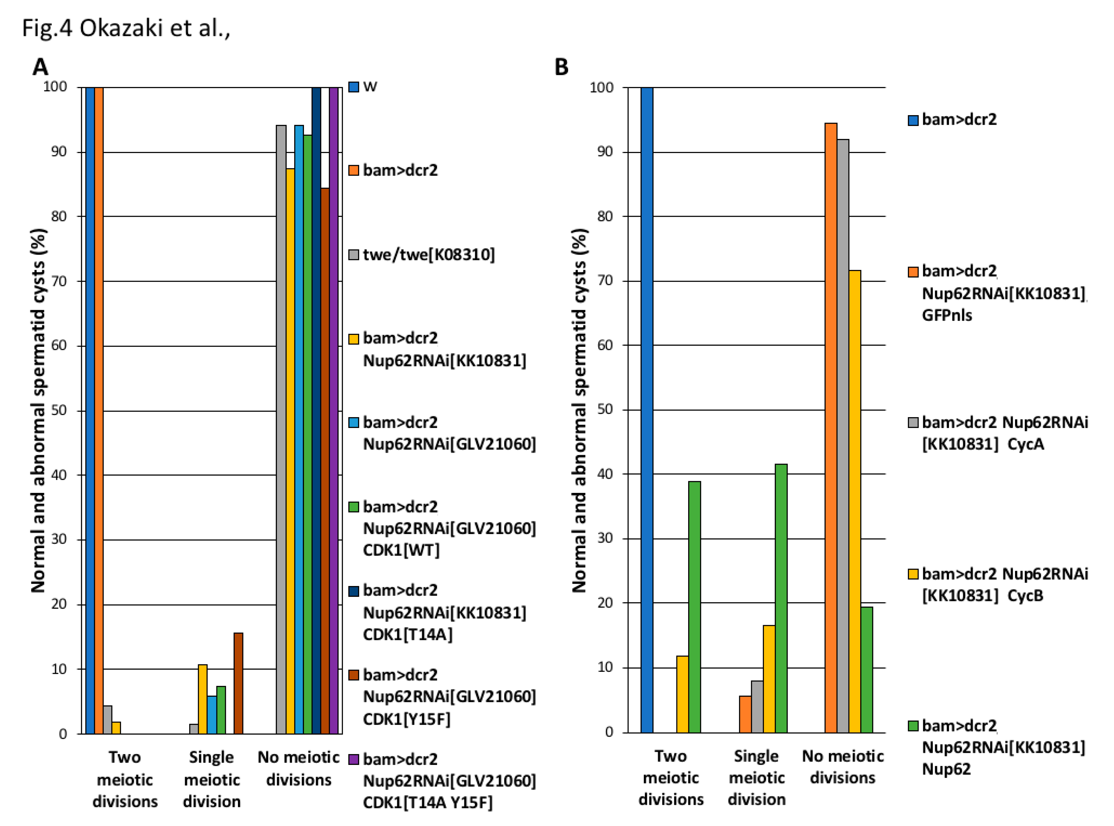 Cells 09 00270 g004 Cells 09 00270 g004
