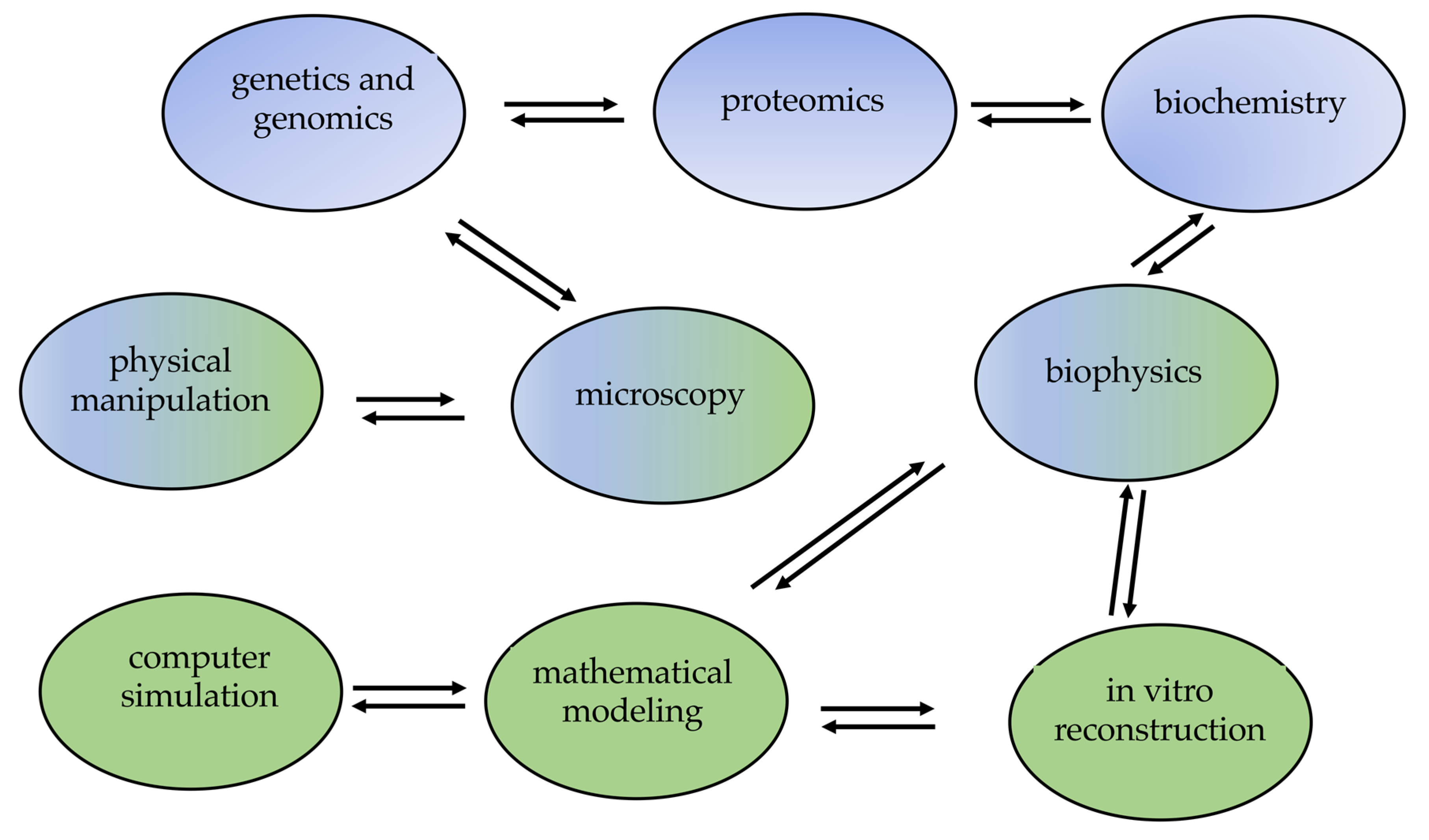 Cells 09 00271 g006 Cells 09 00271 g006