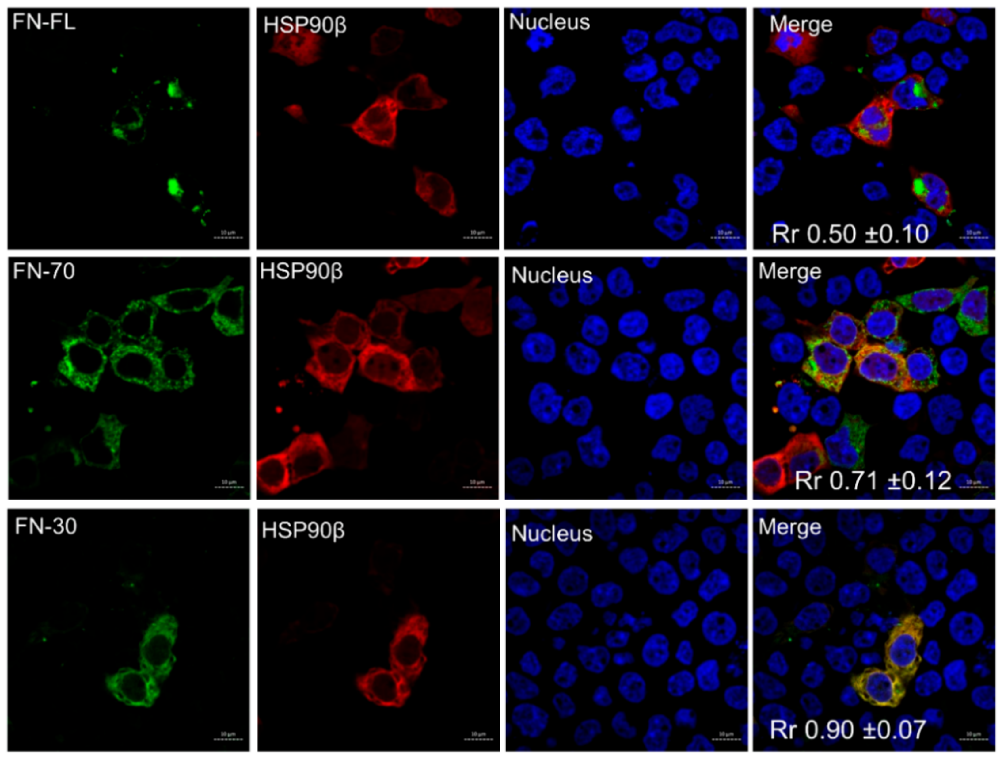 Cells 09 00272 g003 Cells 09 00272 g003