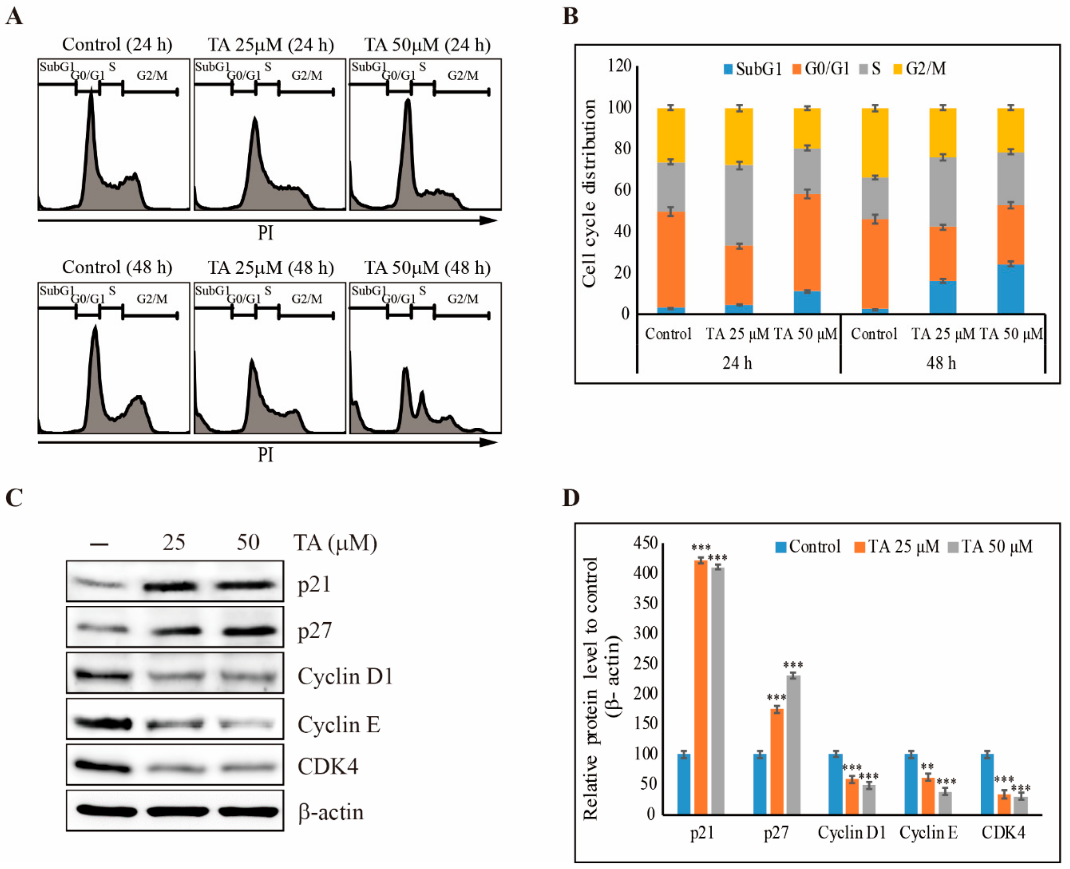 Cells 09 00282 g003 Cells 09 00282 g003
