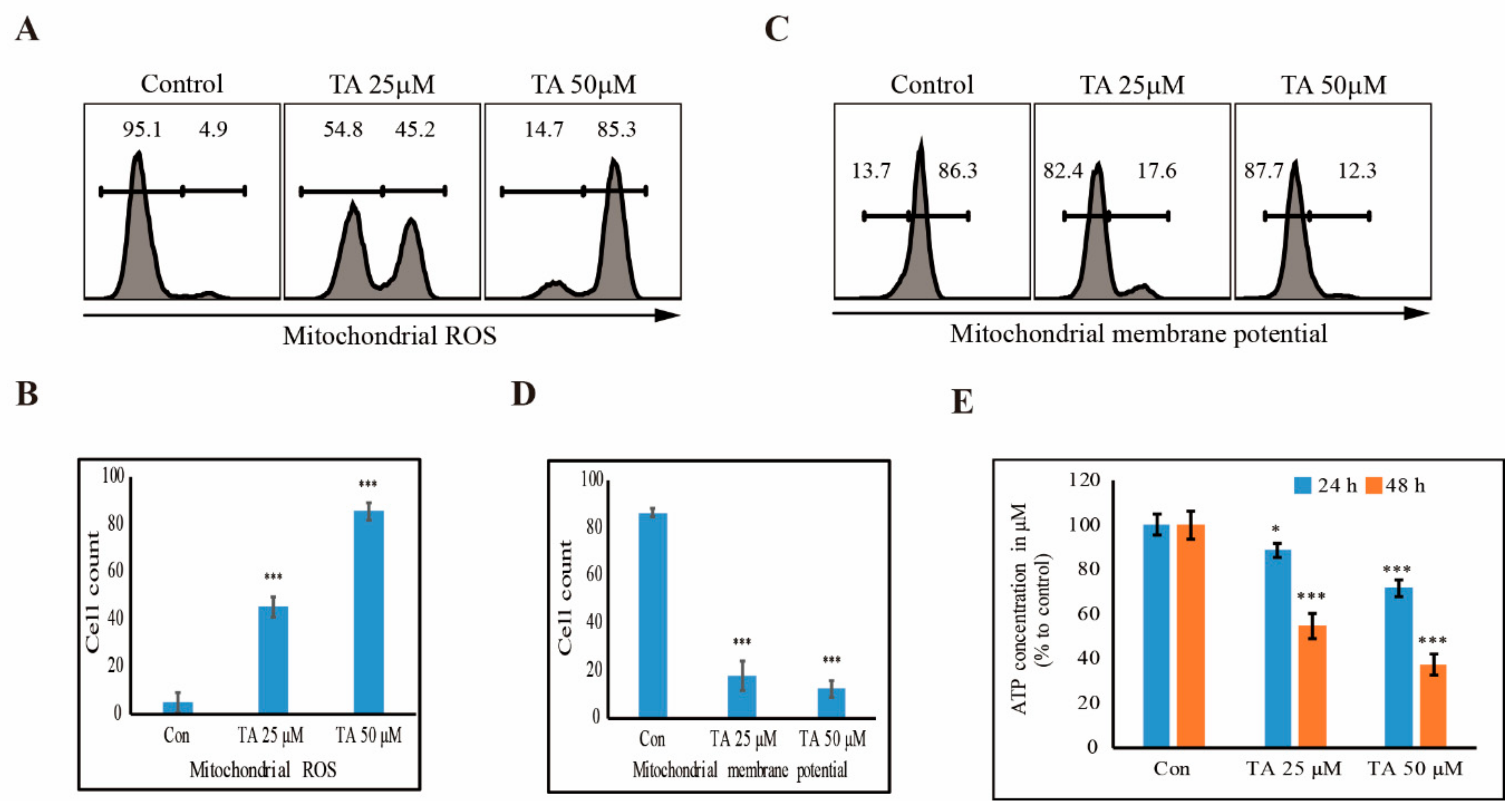 Cells 09 00282 g005 Cells 09 00282 g005