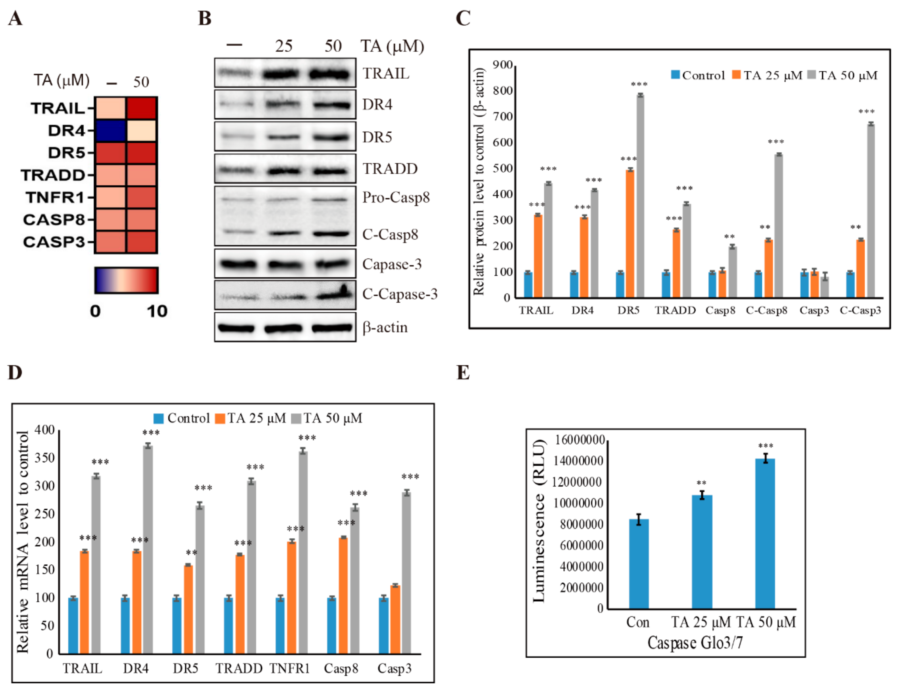Cells 09 00282 g006 Cells 09 00282 g006