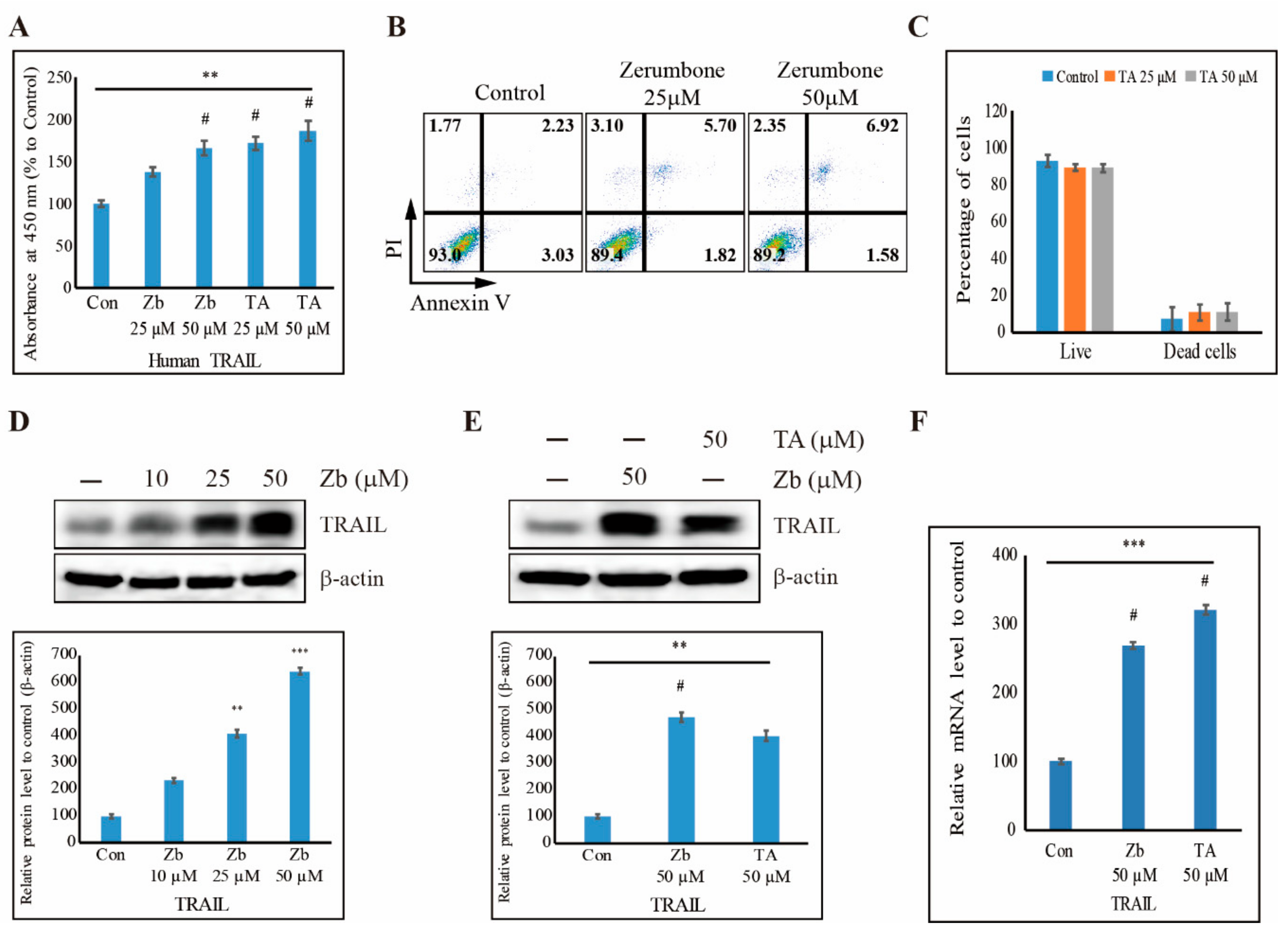Cells 09 00282 g007 Cells 09 00282 g007