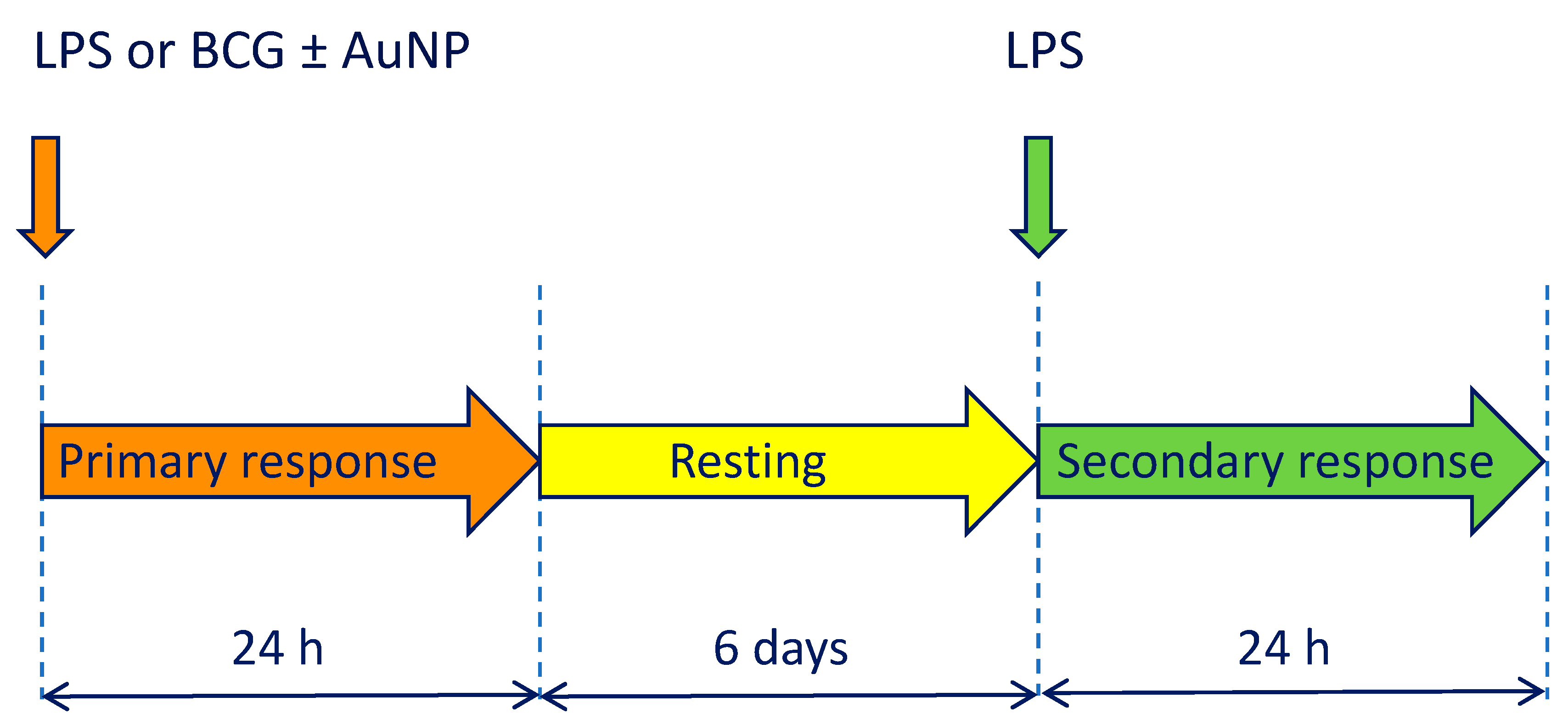 Cells 09 00284 g002 Cells 09 00284 g002