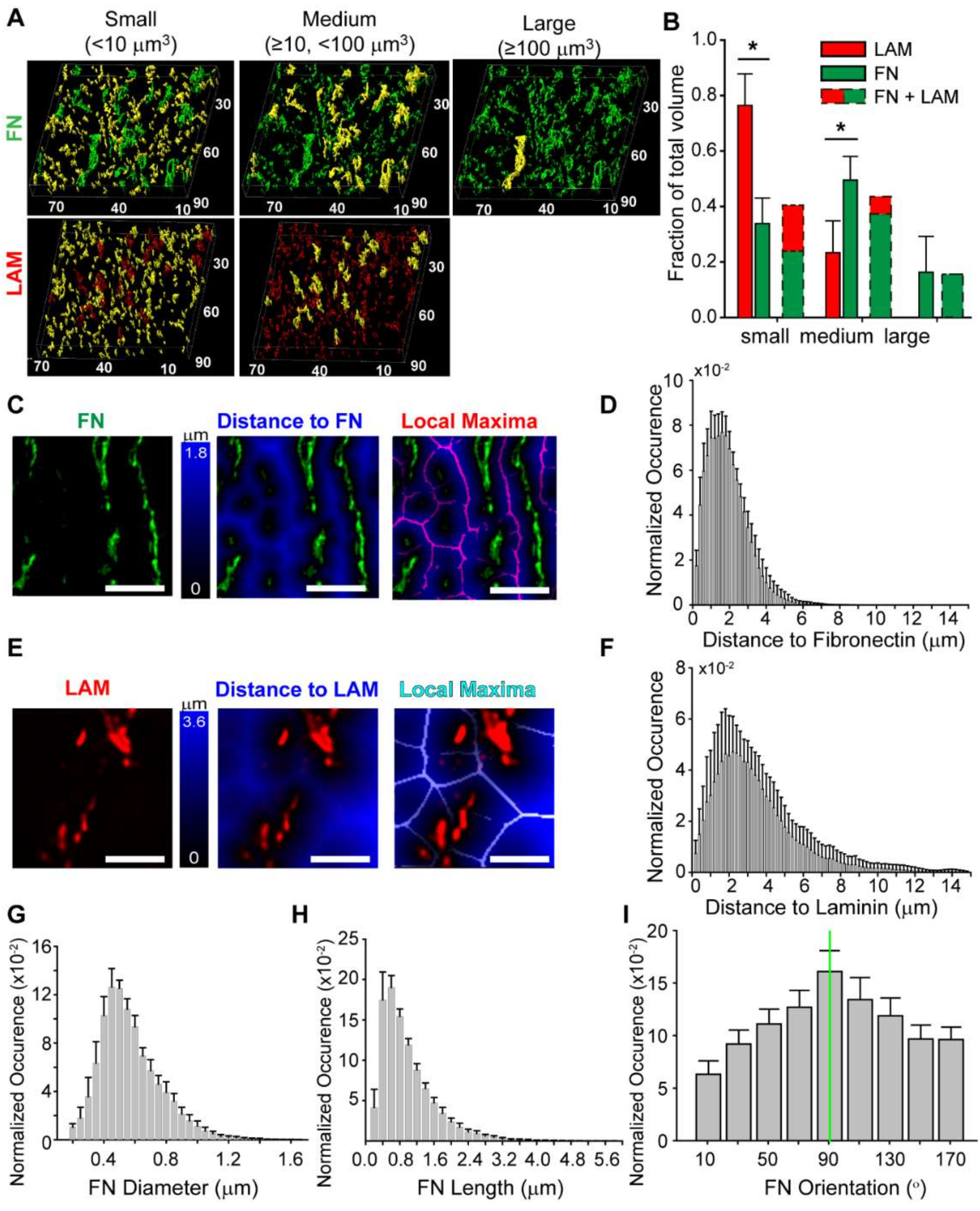 Cells 09 00285 g005 Cells 09 00285 g005