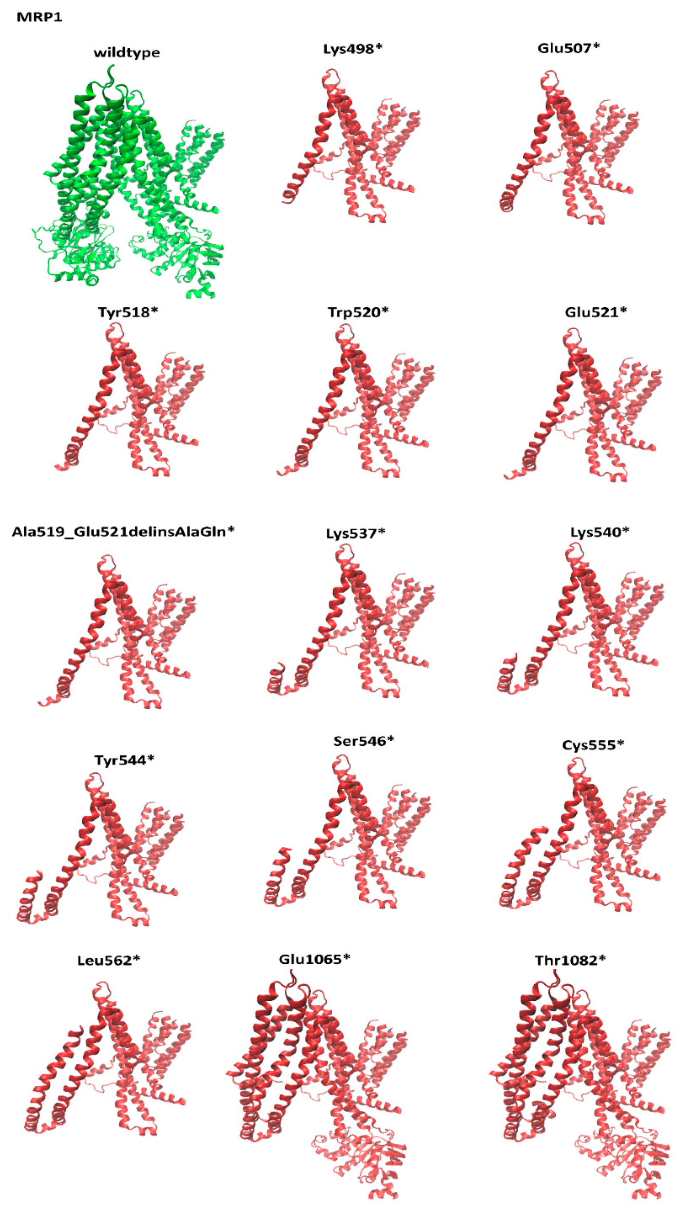 Cells 09 00299 g002