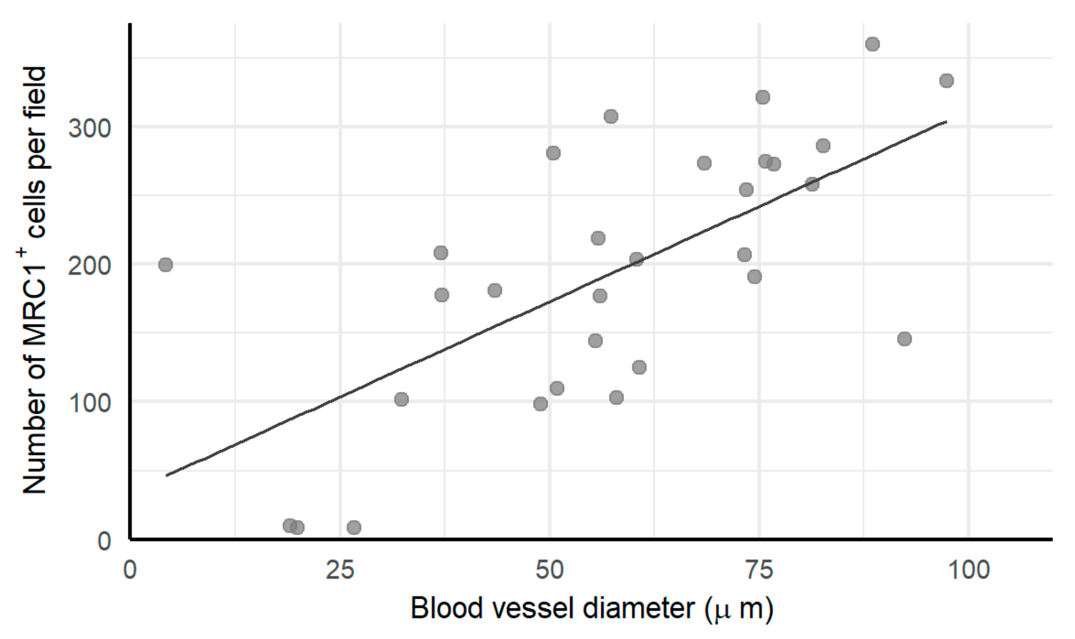 Cells 09 00305 g006 Cells 09 00305 g006