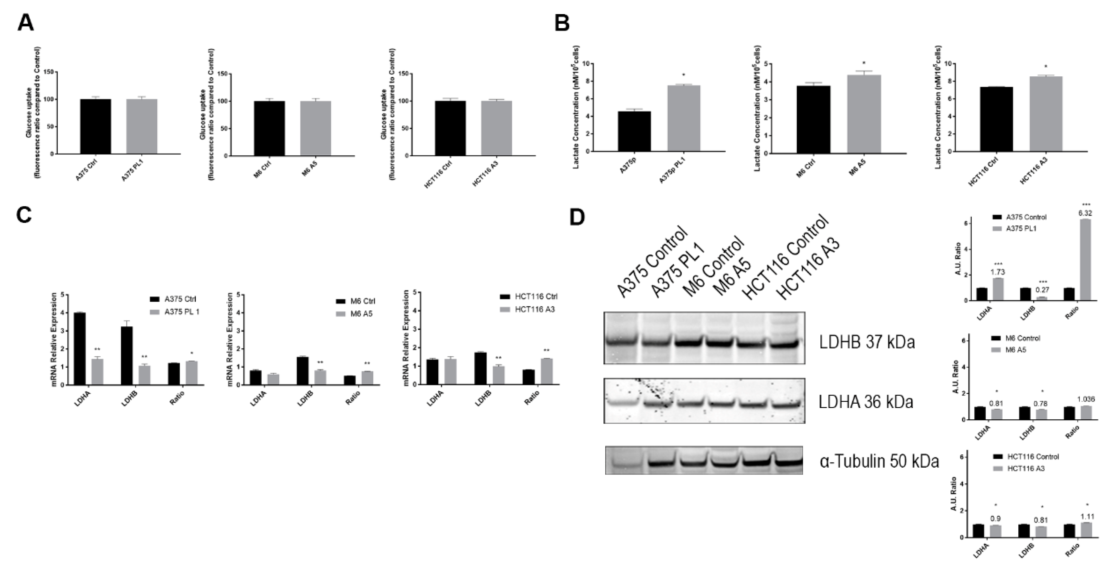 Cells 09 00308 g004 Cells 09 00308 g004