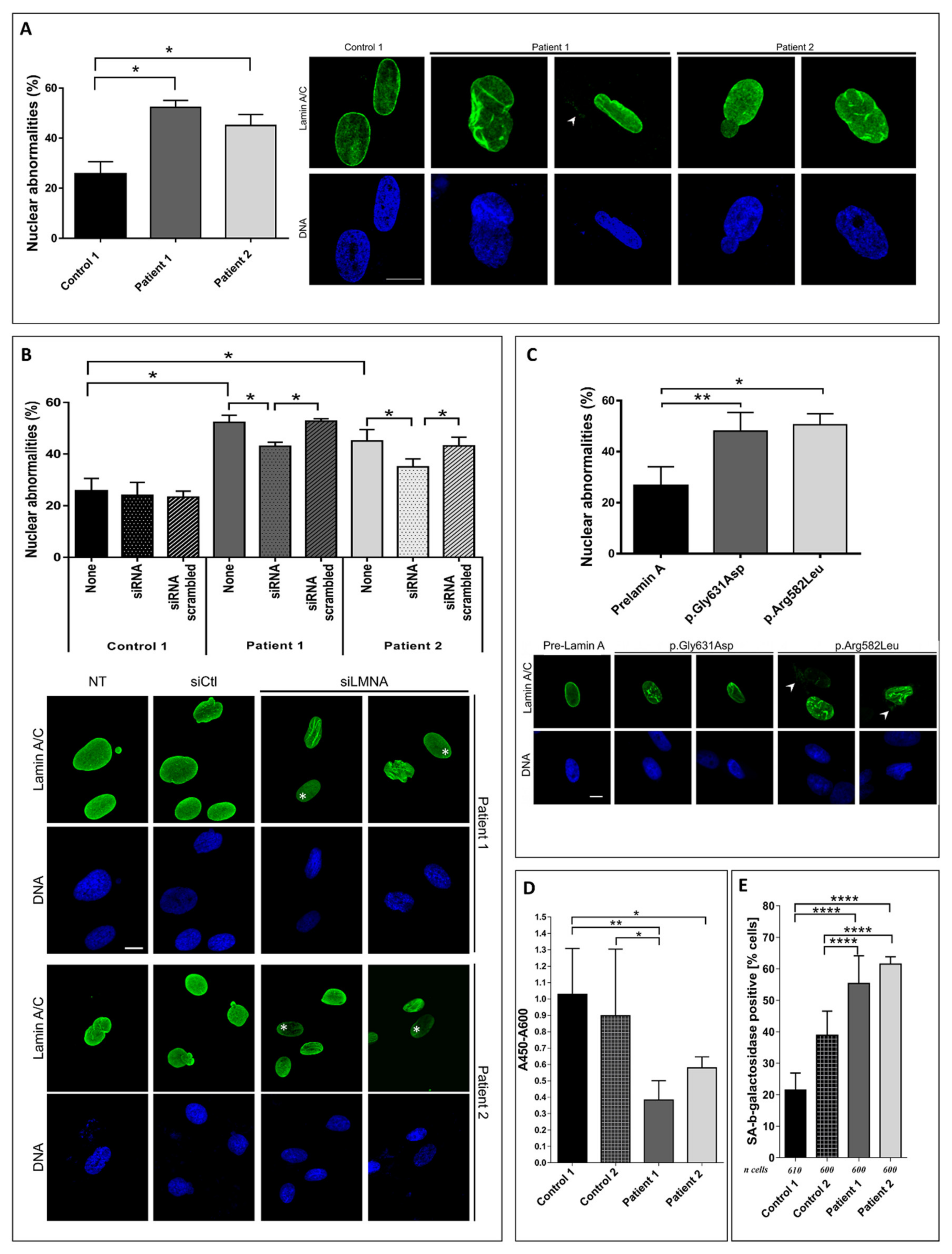 Cells 09 00310 g003