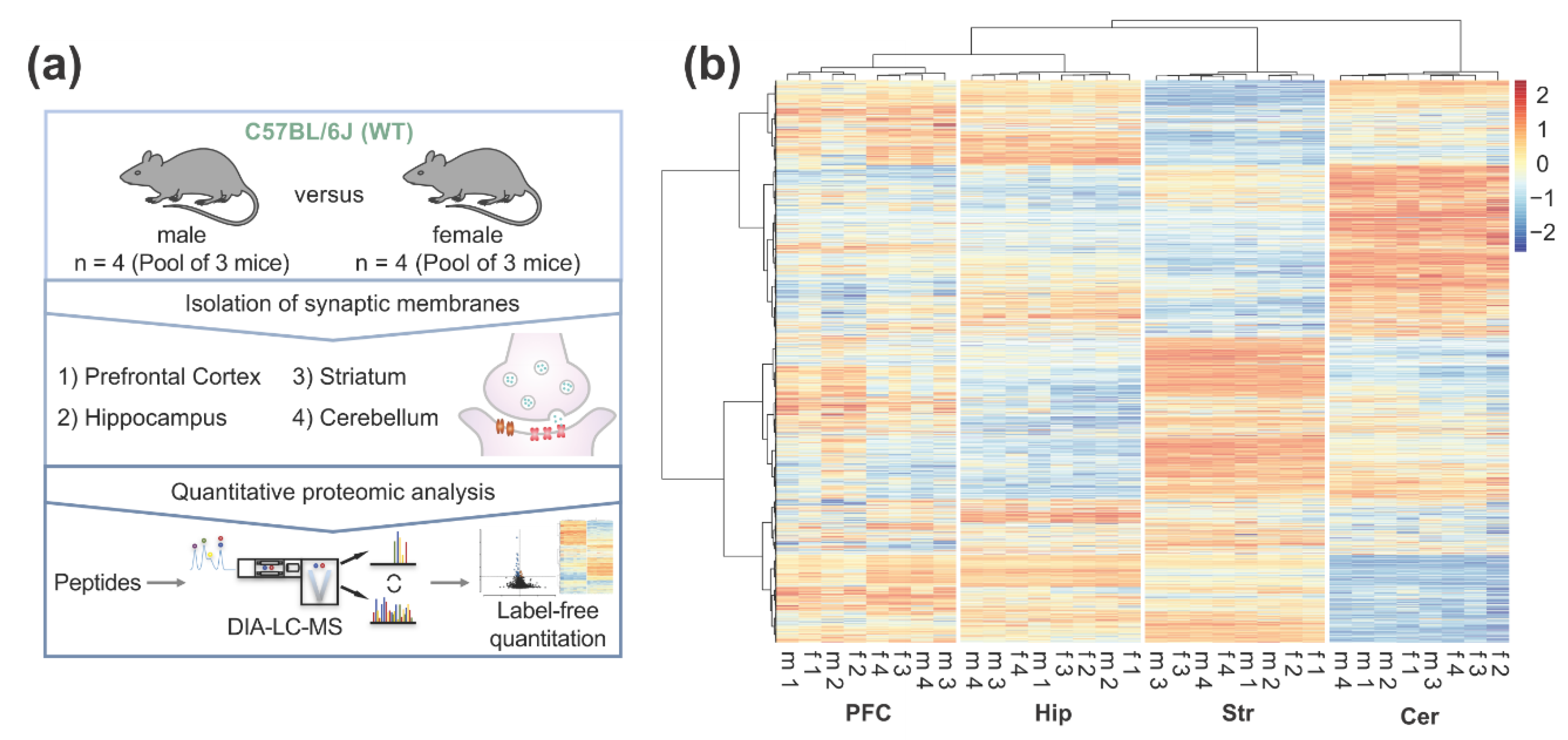 Cells 09 00313 g001 Cells 09 00313 g001