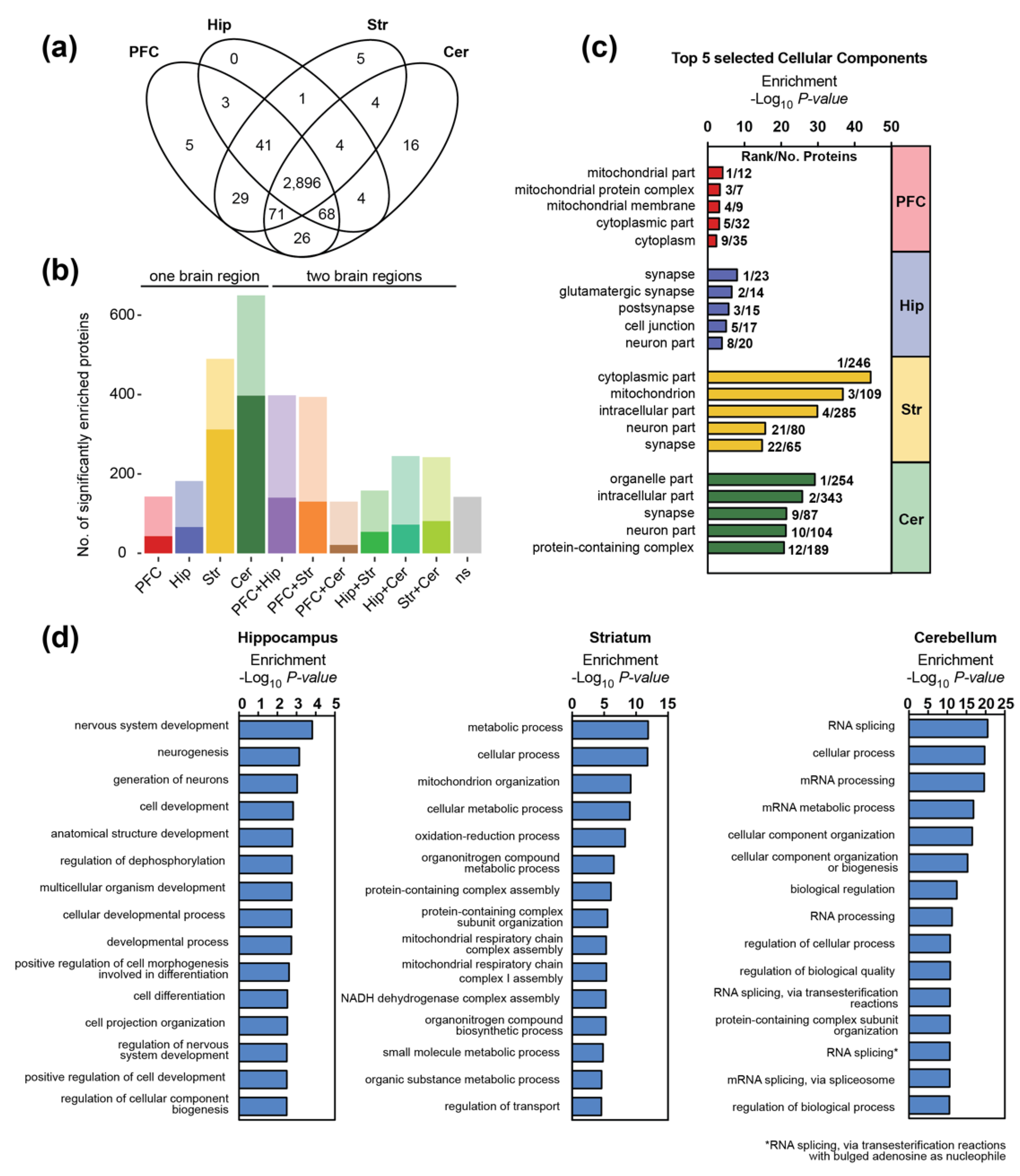 Cells 09 00313 g002 Cells 09 00313 g002