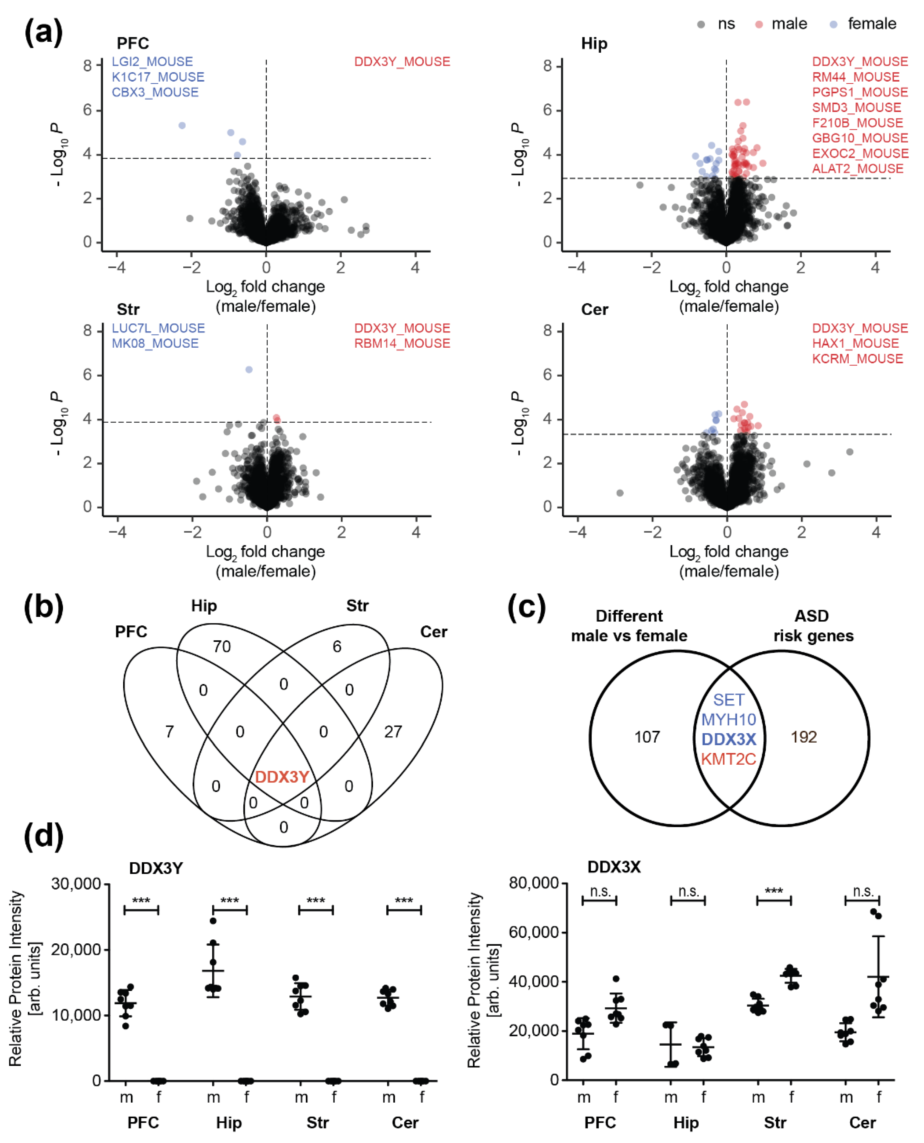 Cells 09 00313 g003 Cells 09 00313 g003