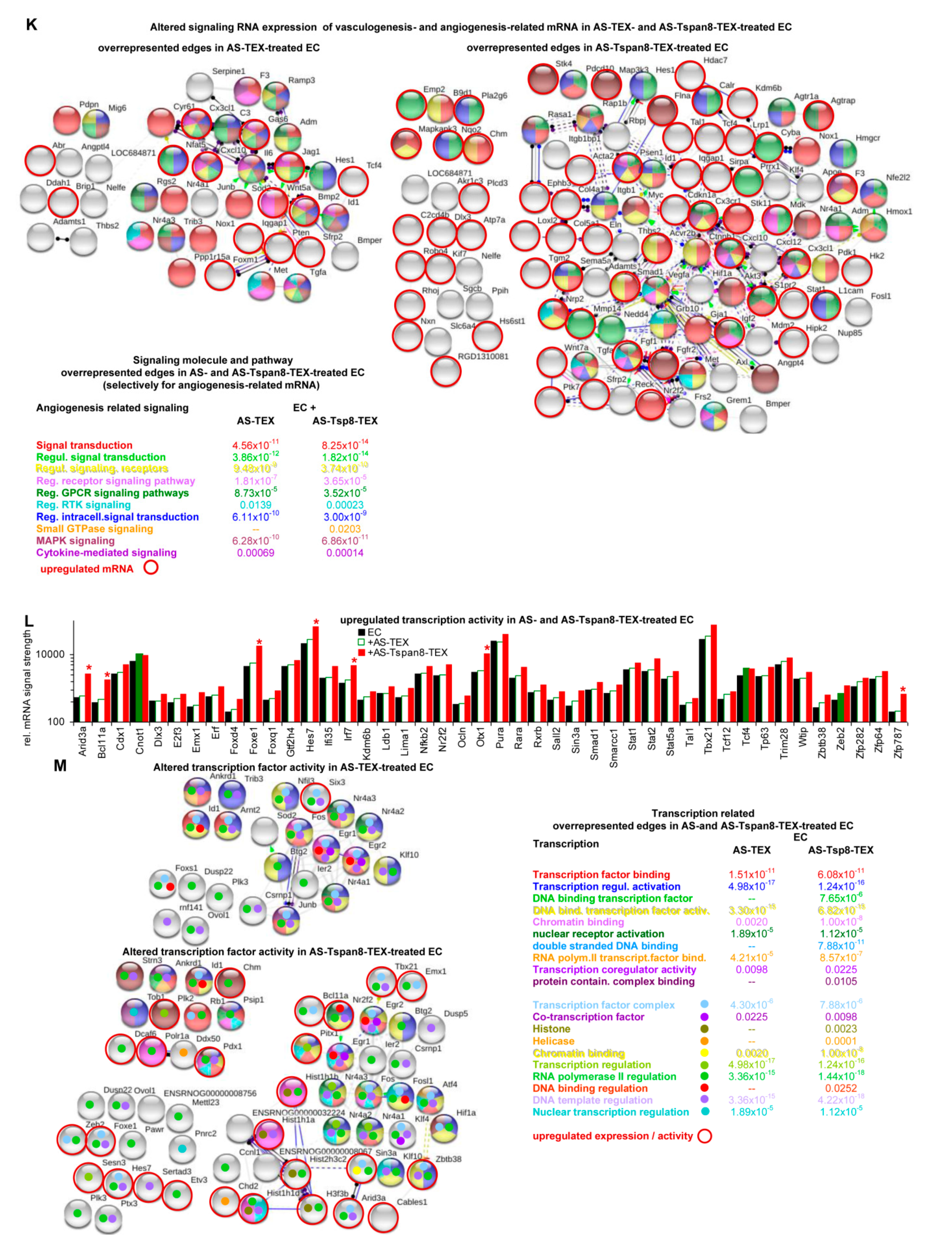 Cells 09 00319 g005d