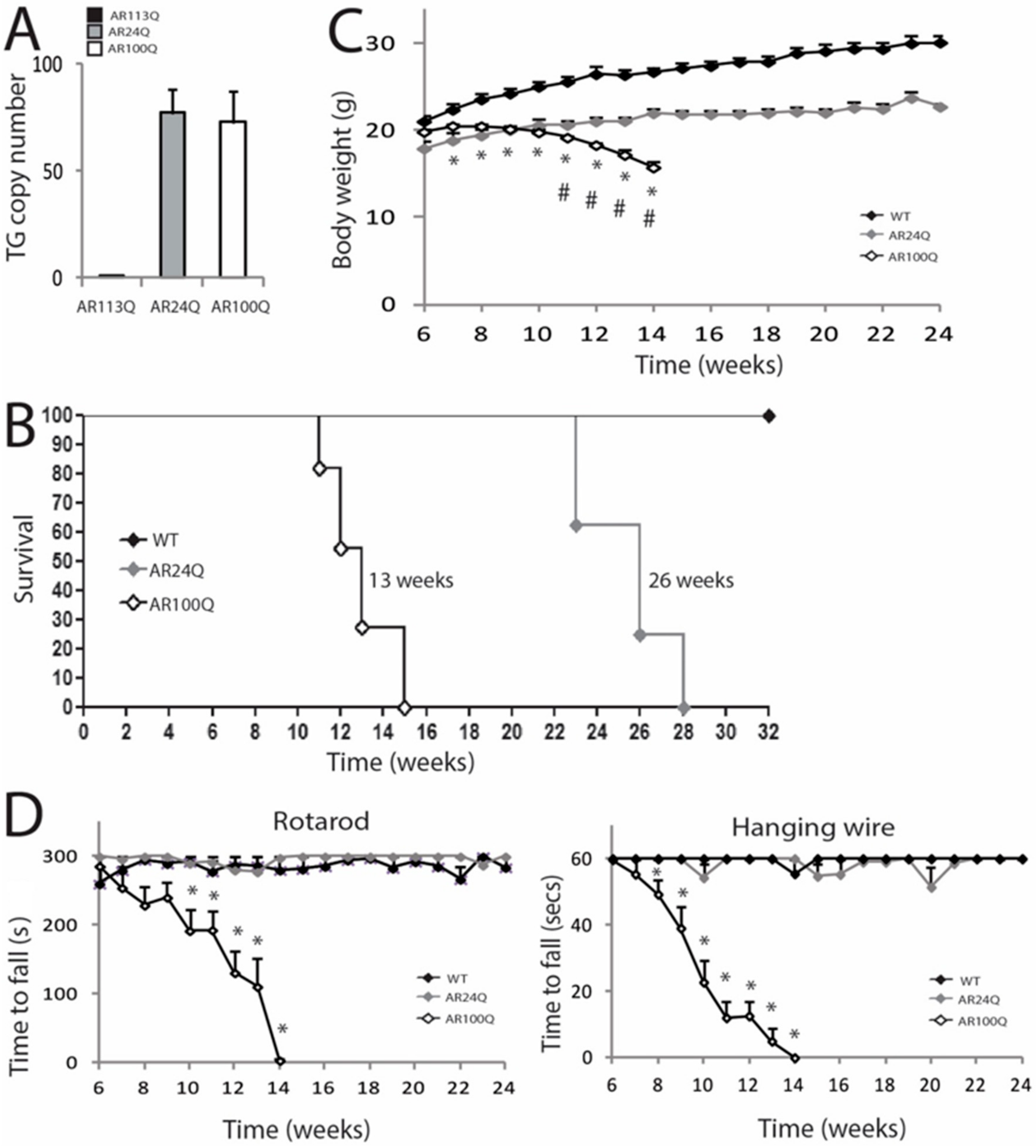 Cells 09 00325 g001 Cells 09 00325 g001