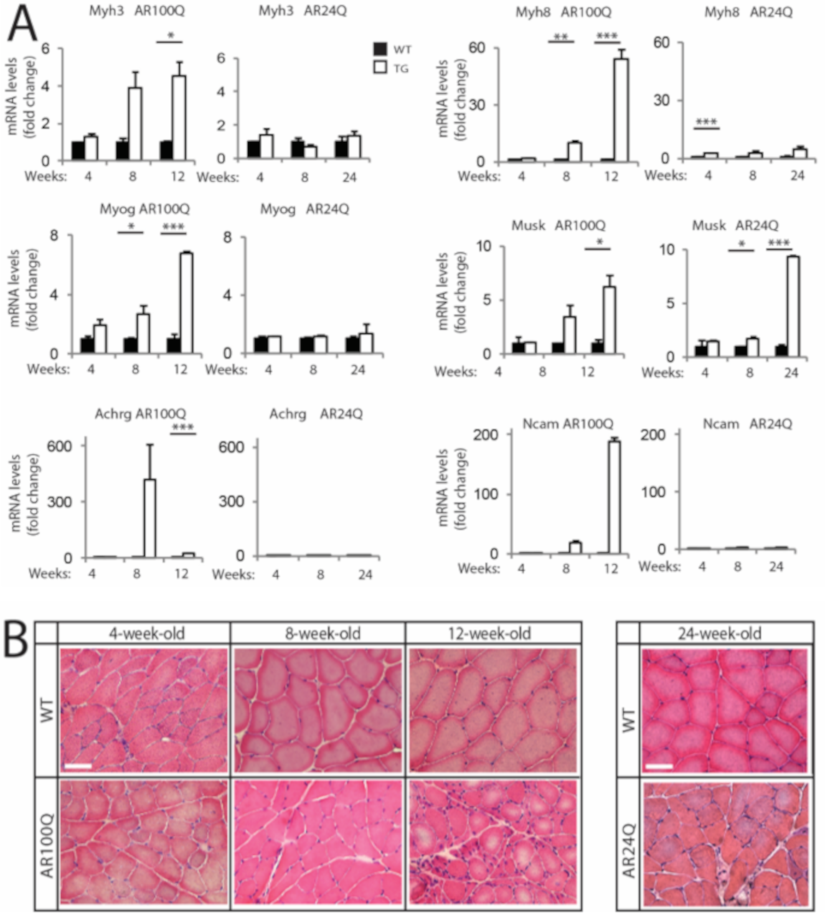 Cells 09 00325 g003 Cells 09 00325 g003
