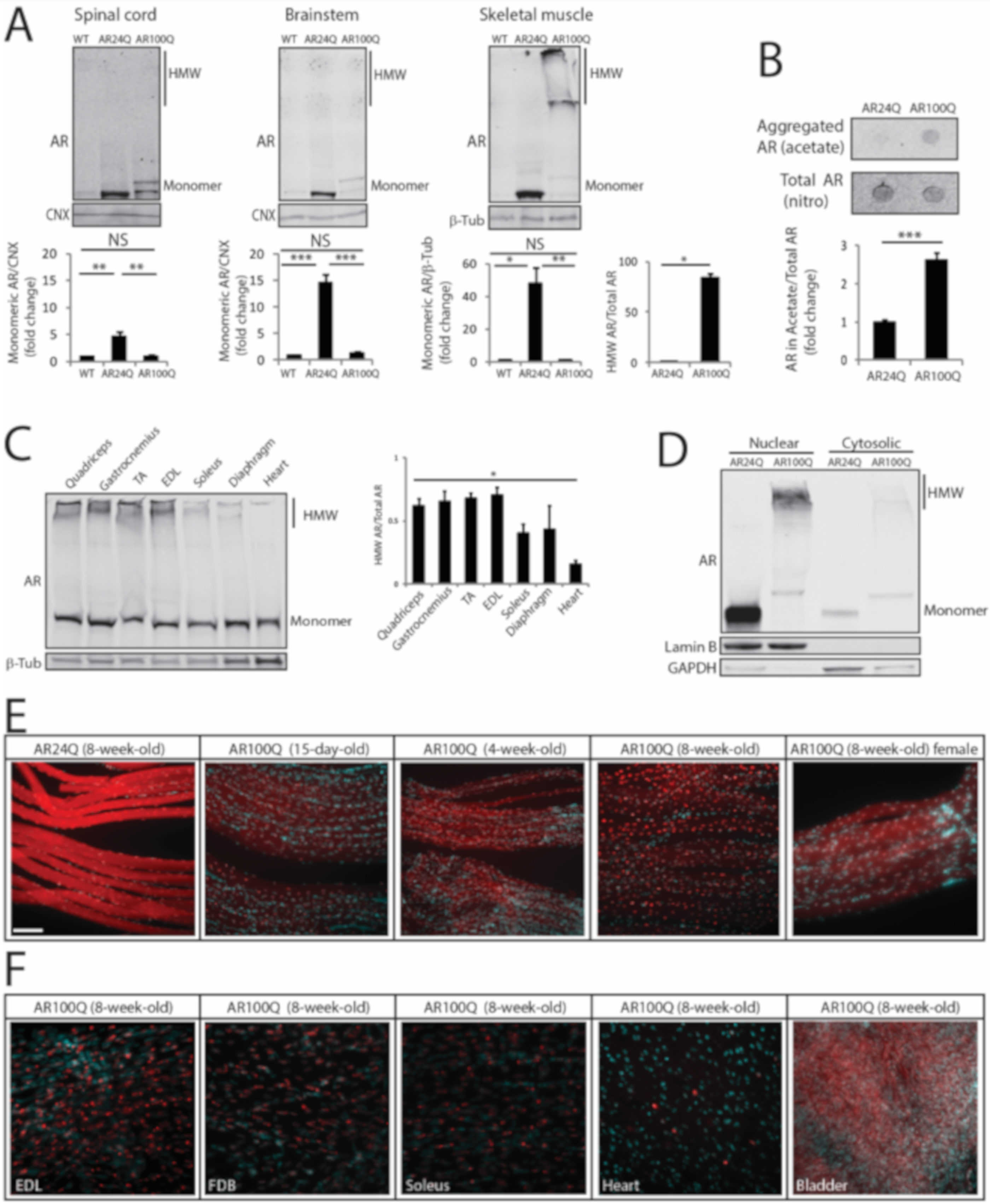 Cells 09 00325 g006 Cells 09 00325 g006