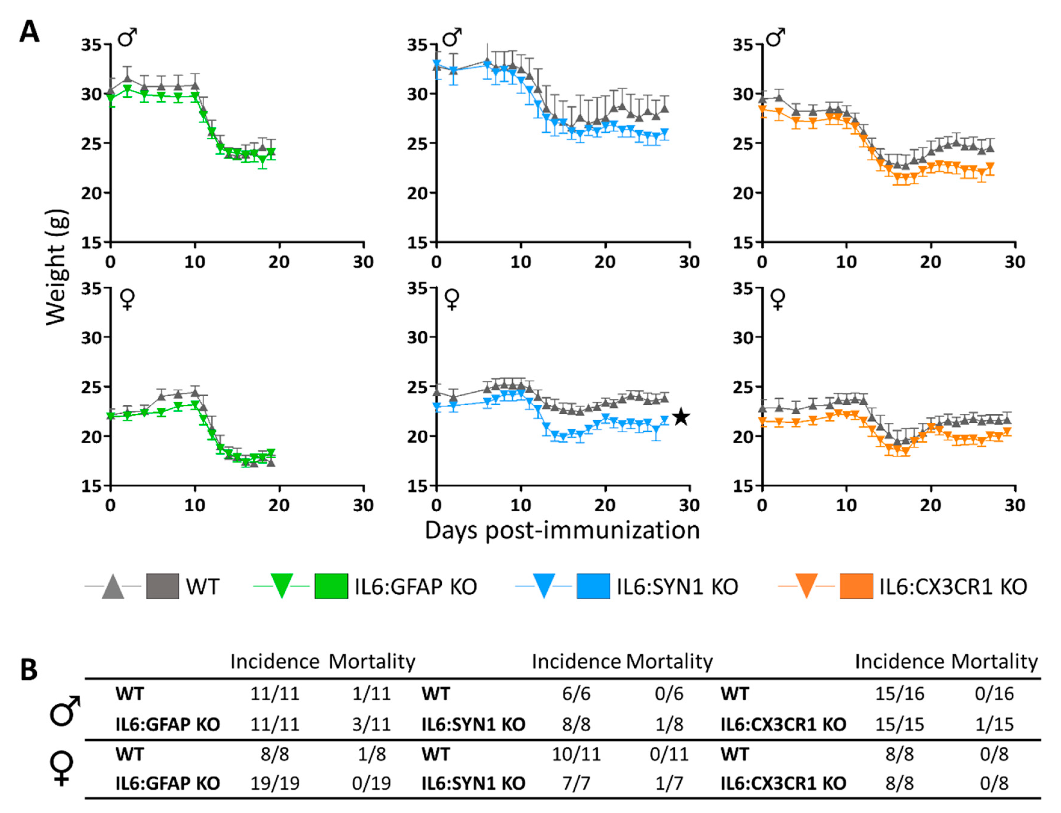 Cells 09 00330 g002 Cells 09 00330 g002