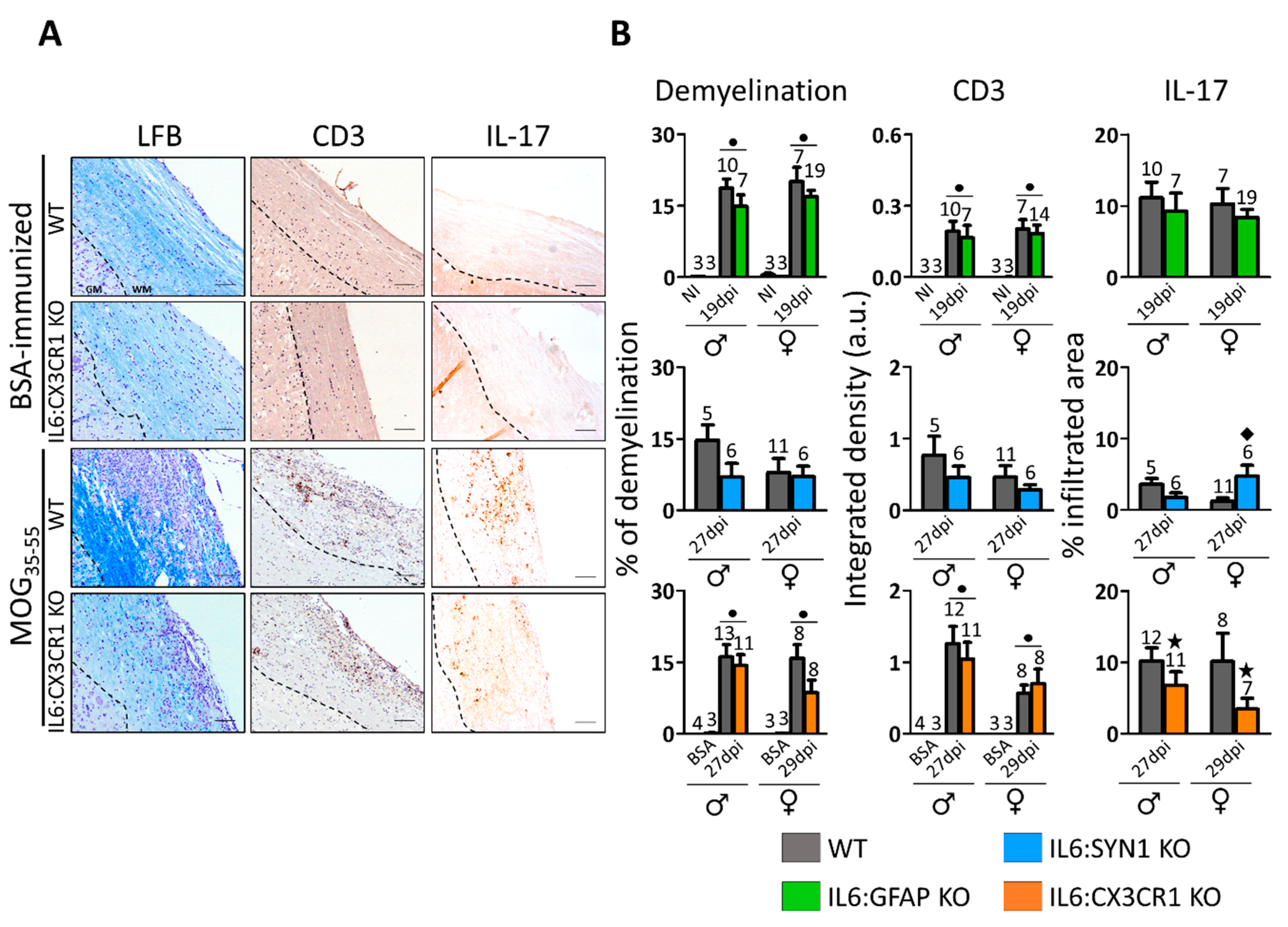 Cells 09 00330 g003 Cells 09 00330 g003