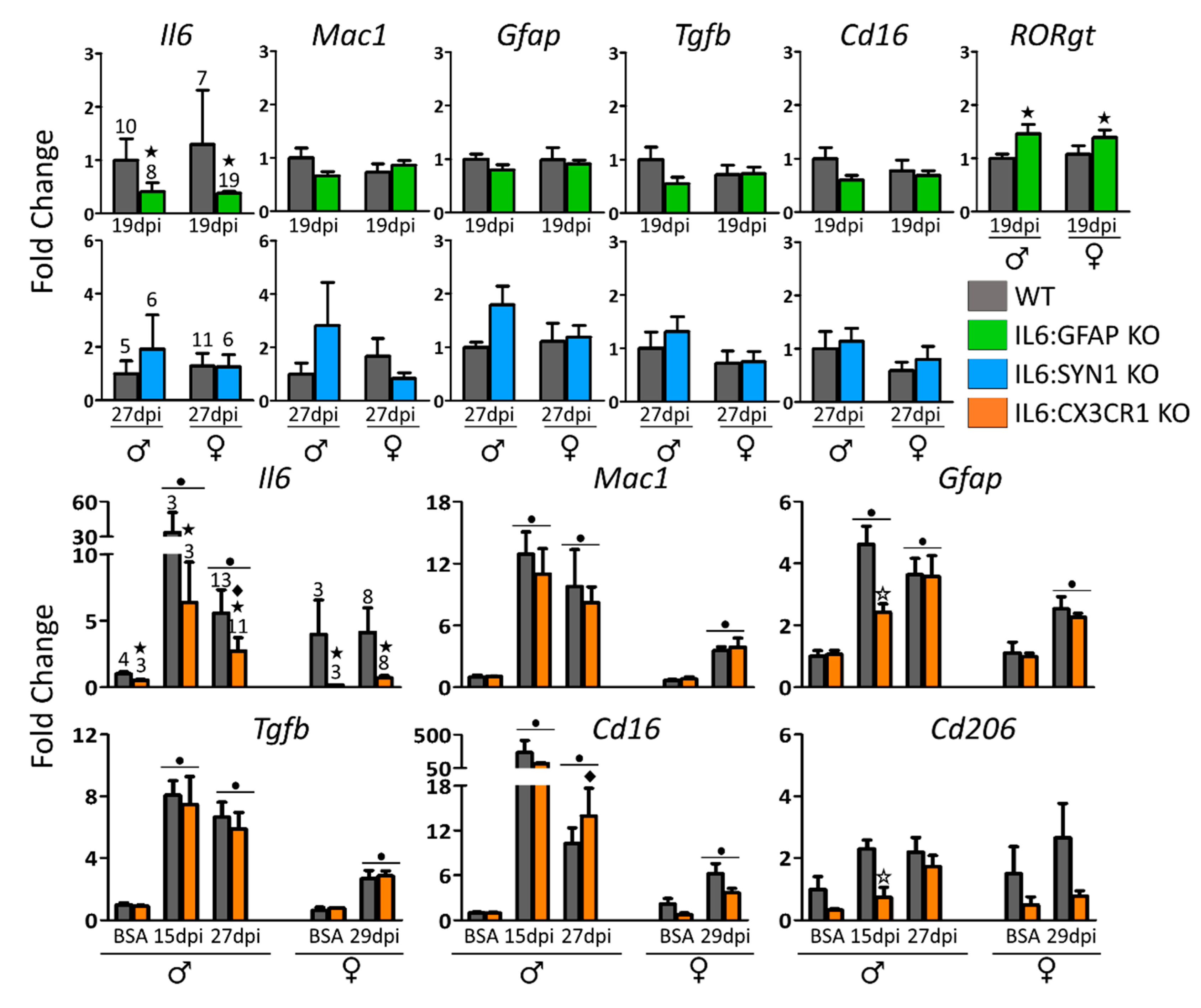 Cells 09 00330 g005 Cells 09 00330 g005
