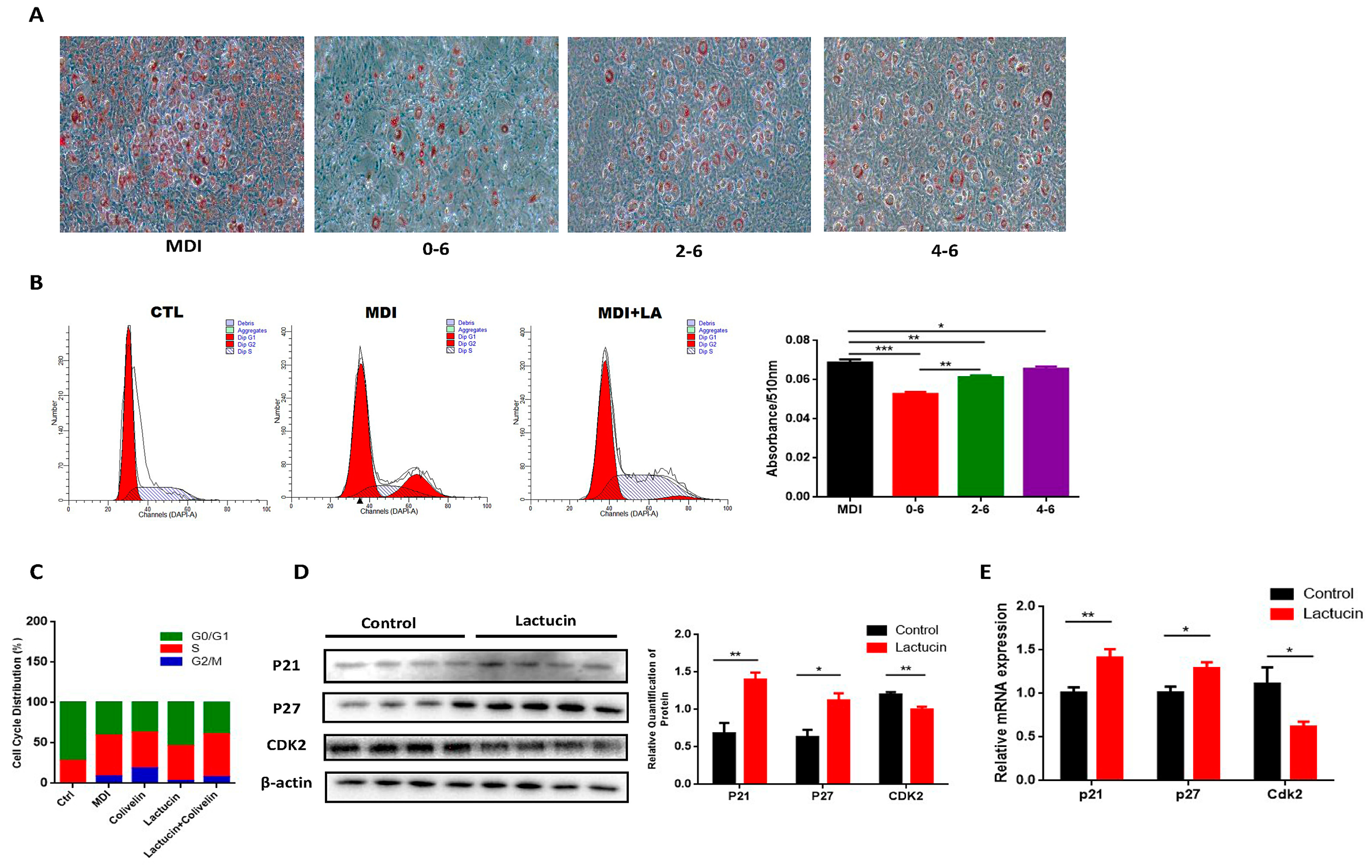 Cells 09 00331 g004 Cells 09 00331 g004