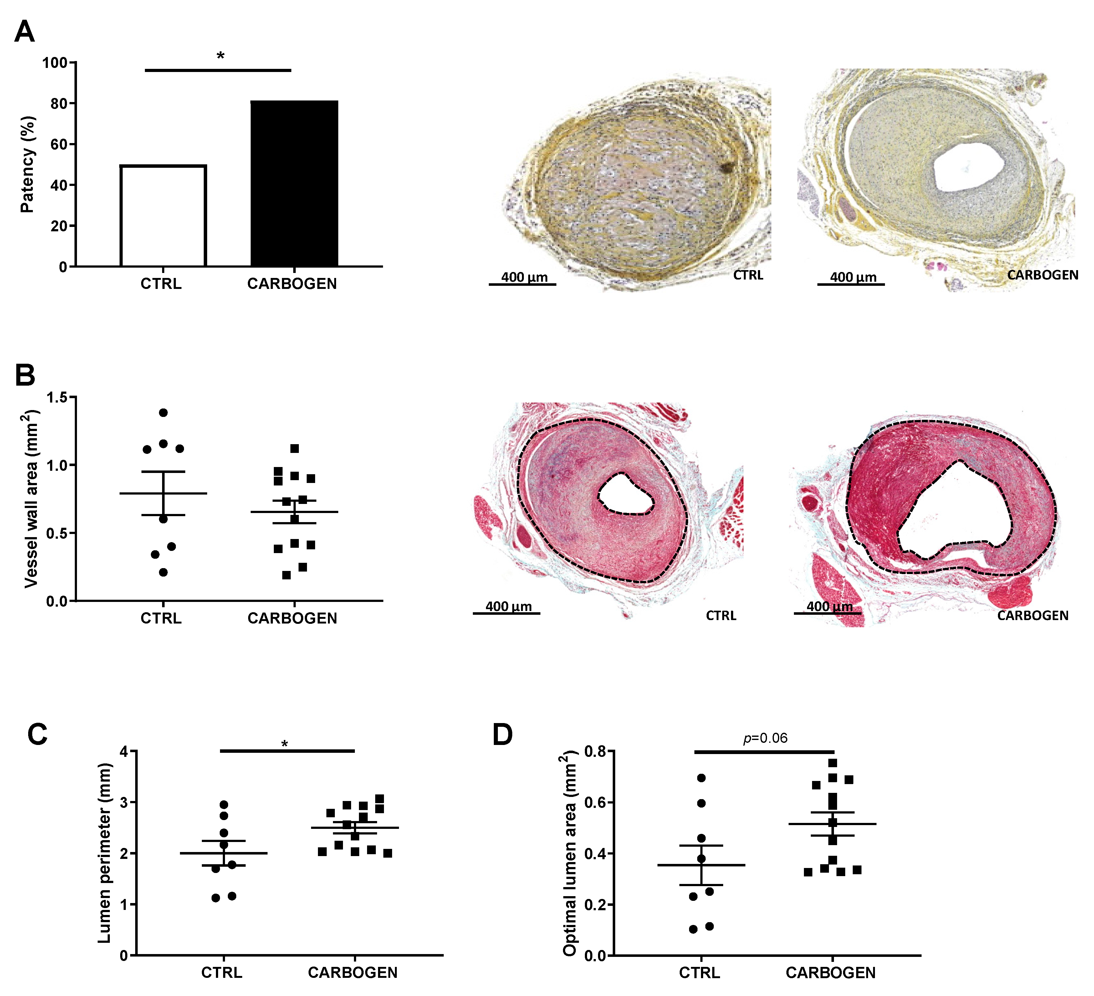 Cells 09 00336 g004 Cells 09 00336 g004