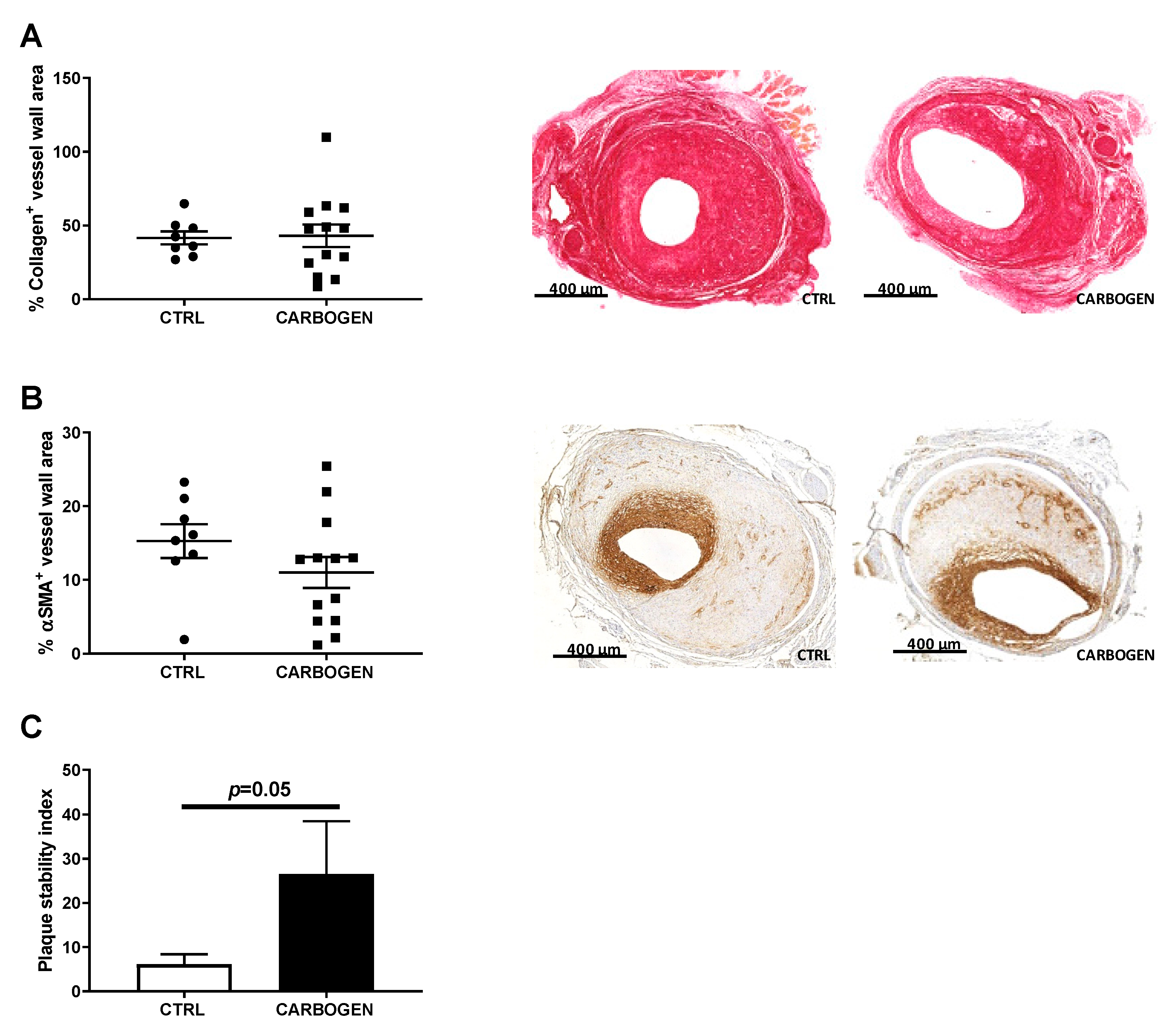 Cells 09 00336 g008 Cells 09 00336 g008
