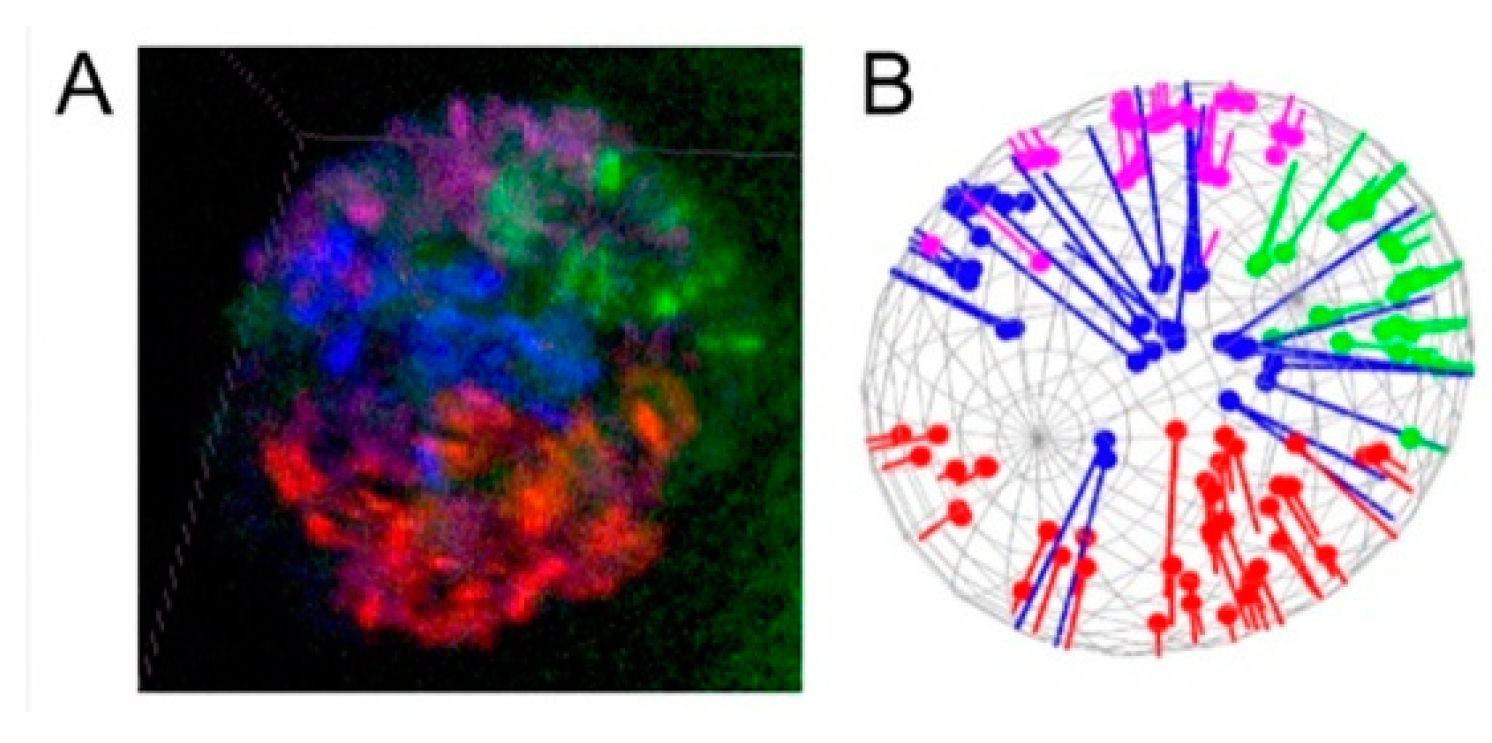 Cells 09 00339 g002 Cells 09 00339 g002