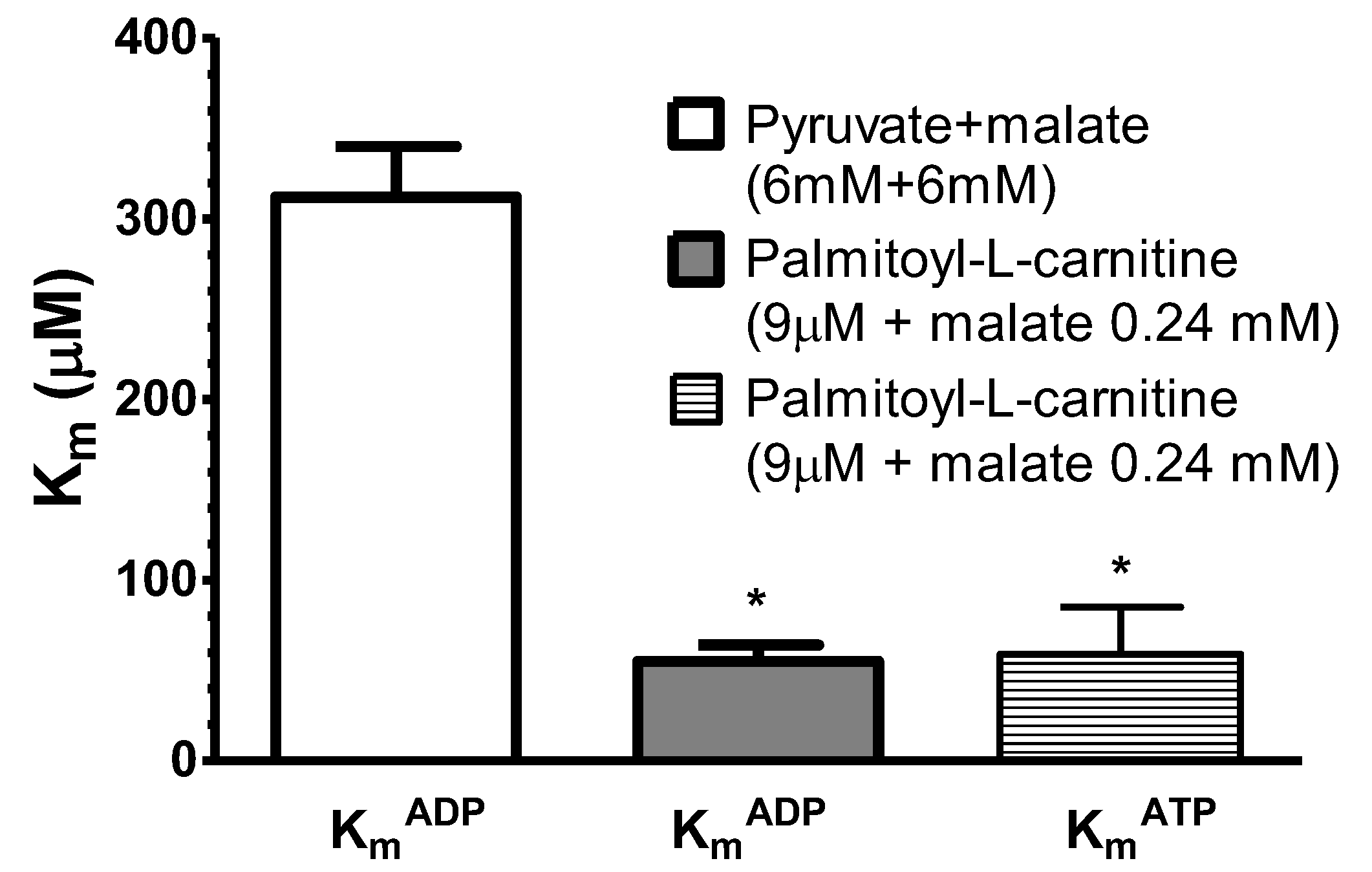 Cells 09 00340 g008 Cells 09 00340 g008