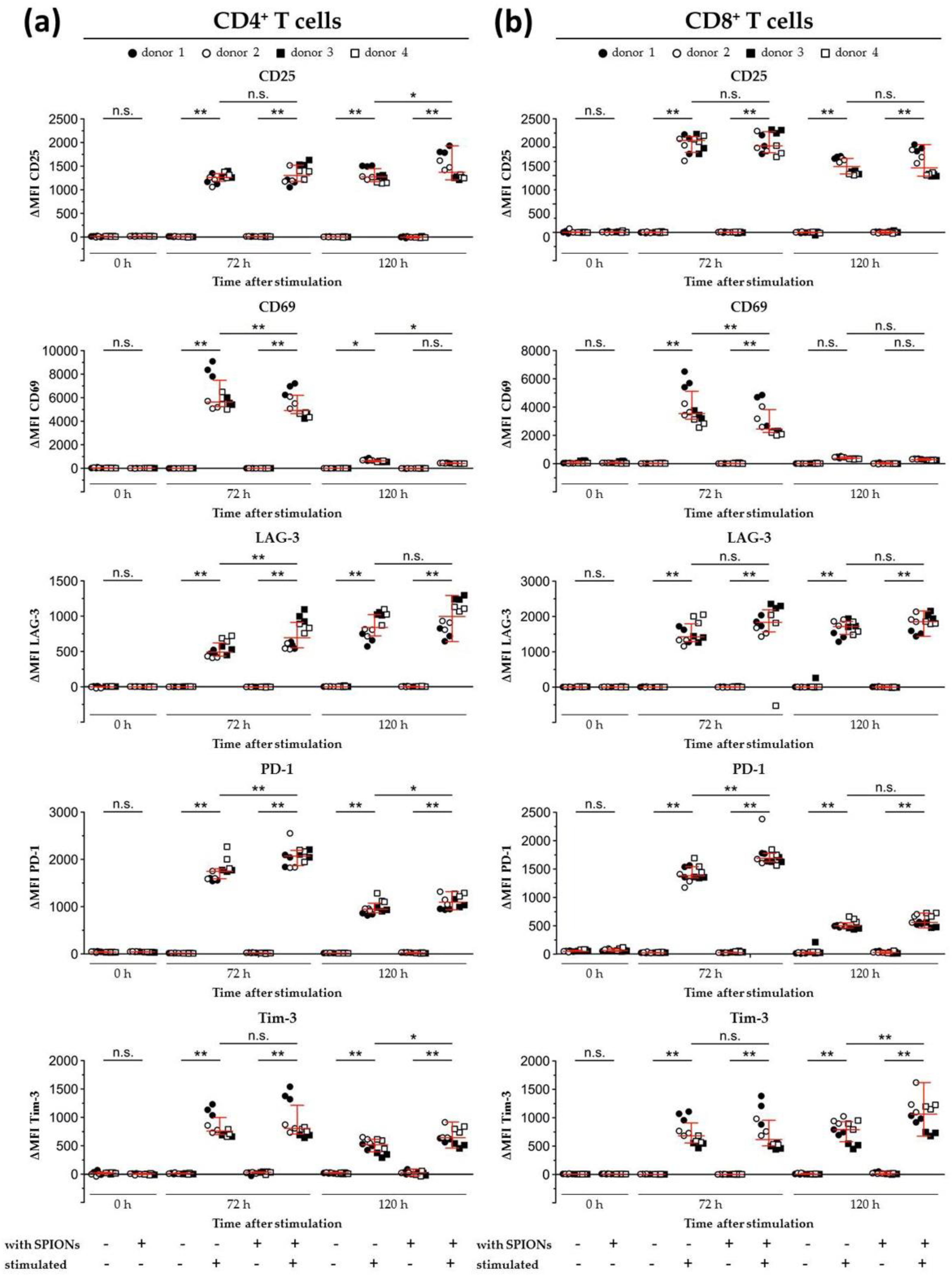 Cells 09 00342 g007 Cells 09 00342 g007