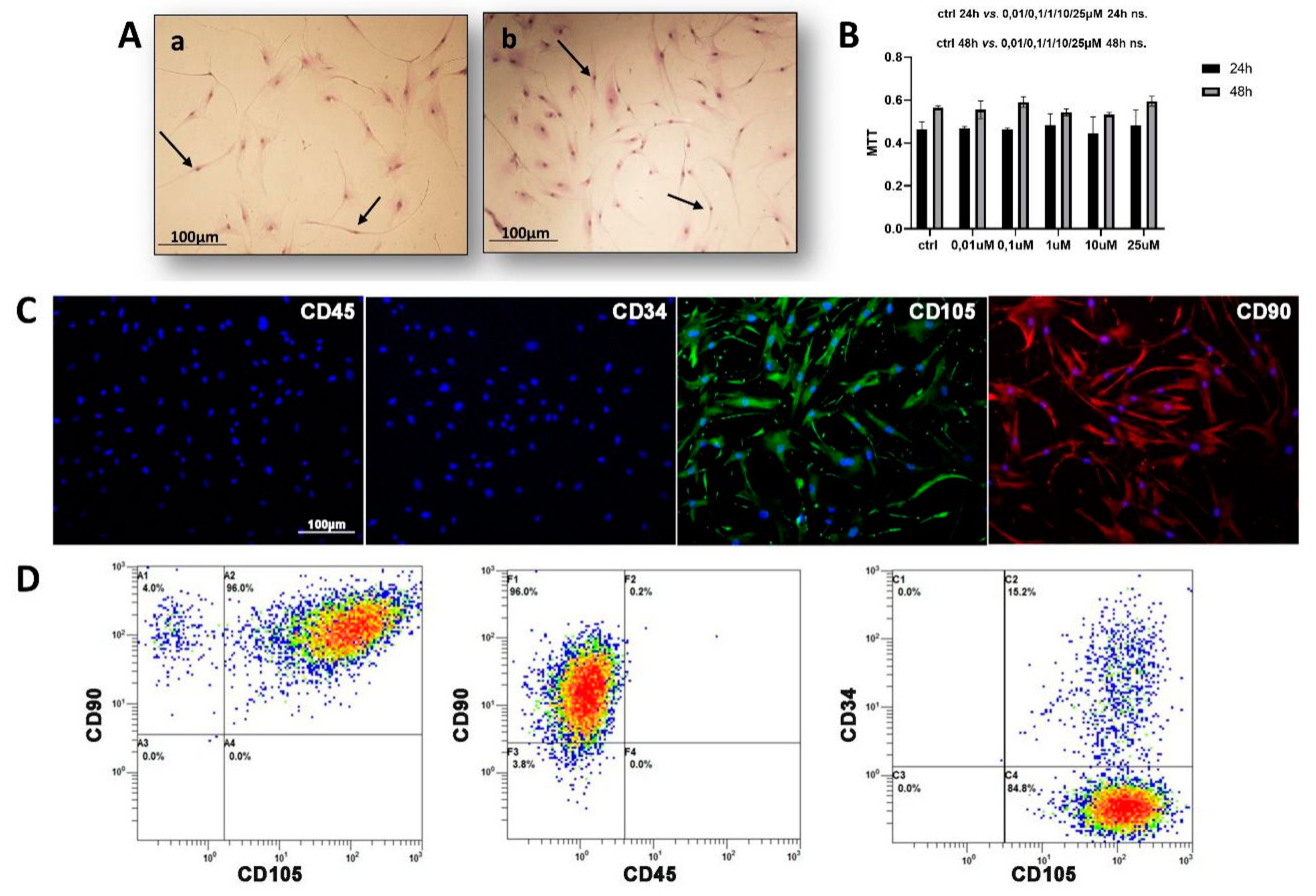 Cells 09 00347 g001