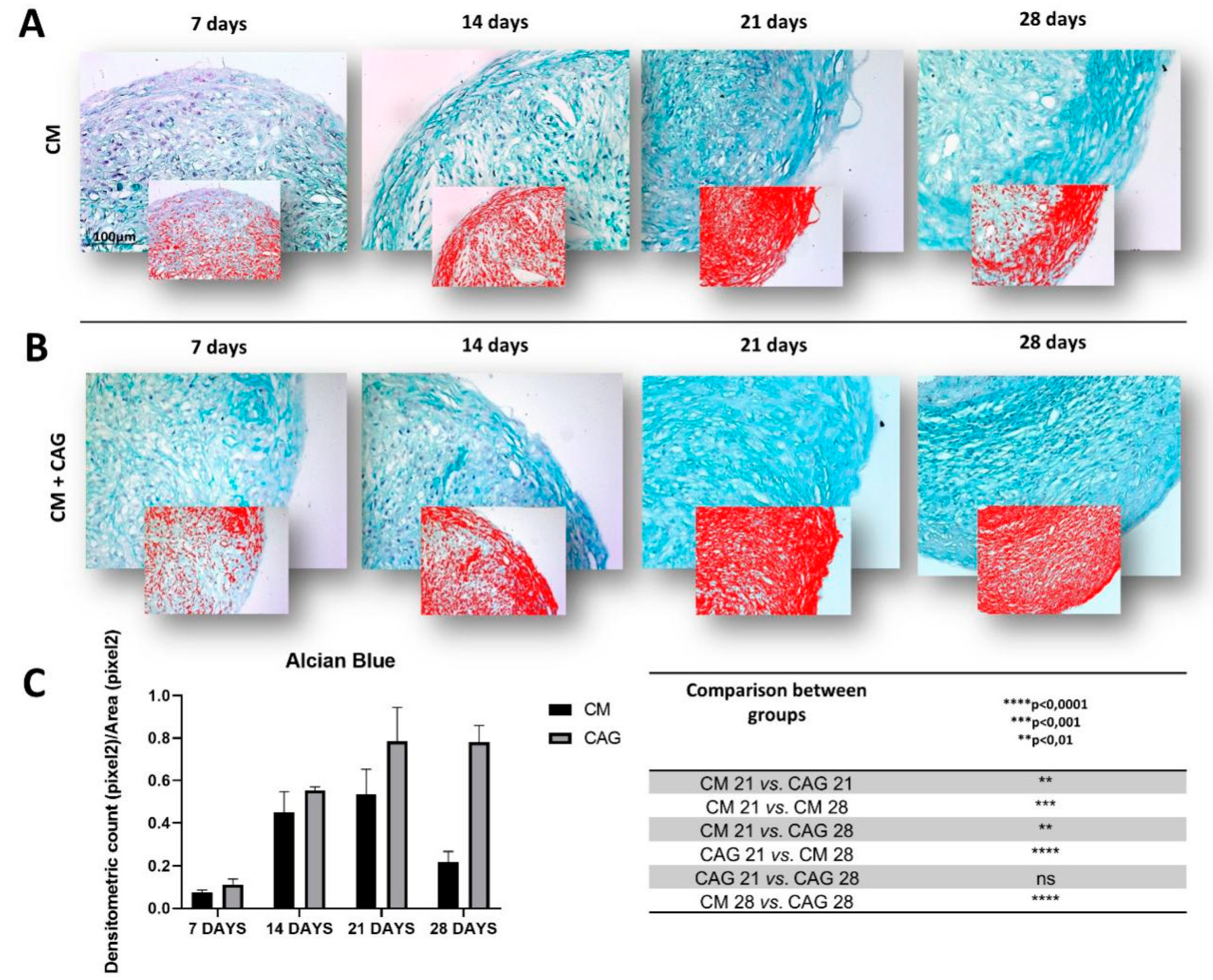 Cells 09 00347 g003