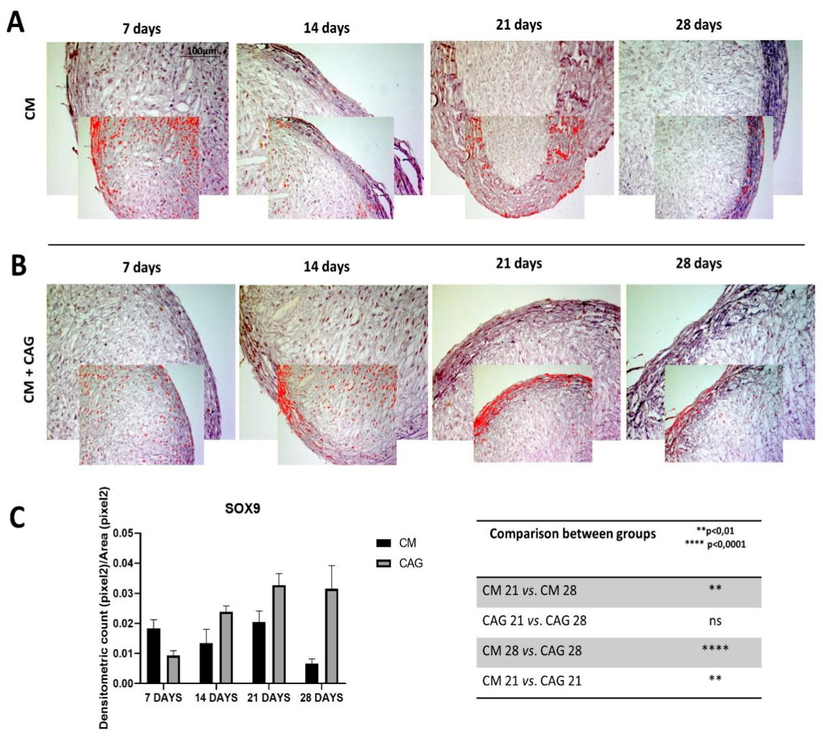 Cells 09 00347 g004