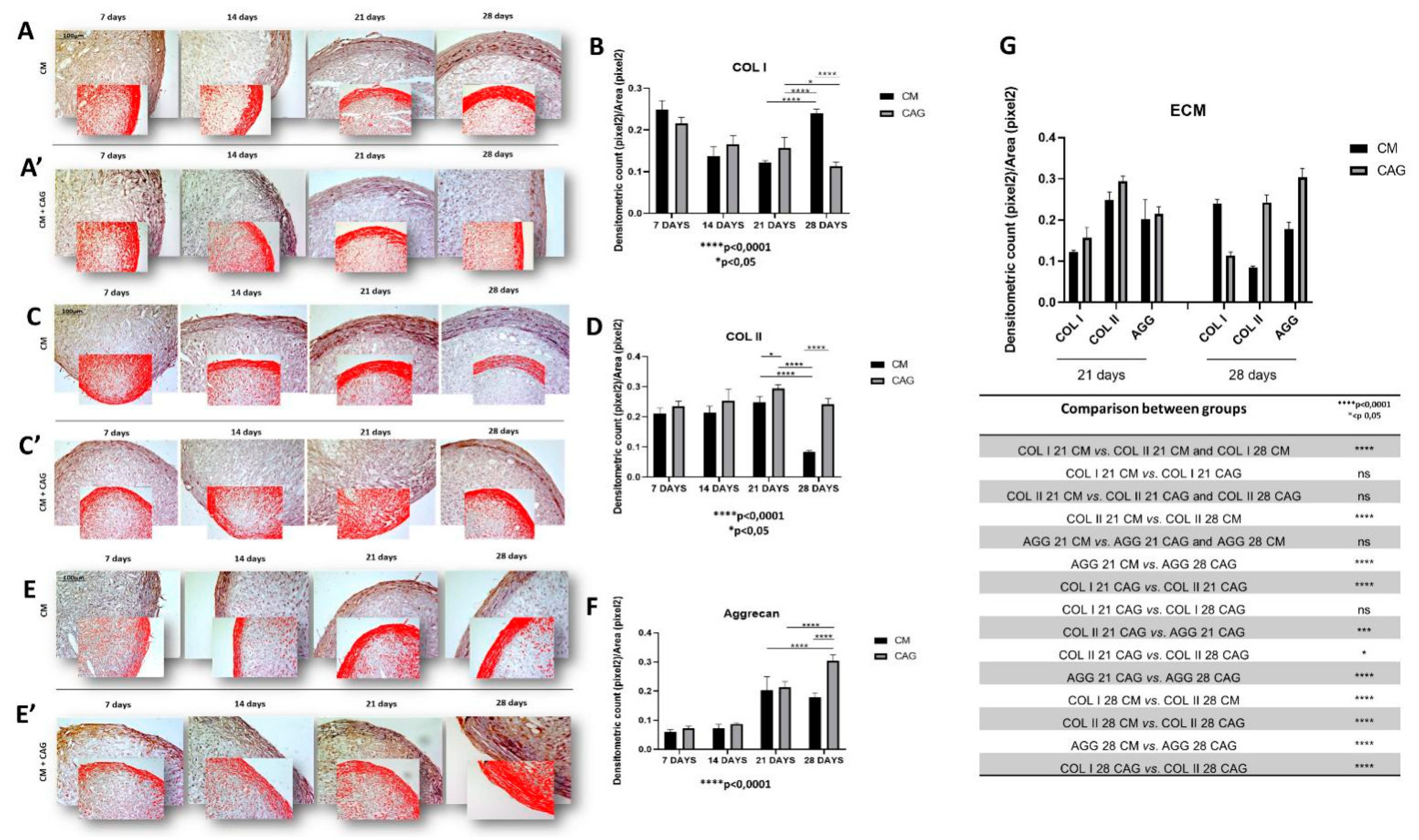 Cells 09 00347 g005
