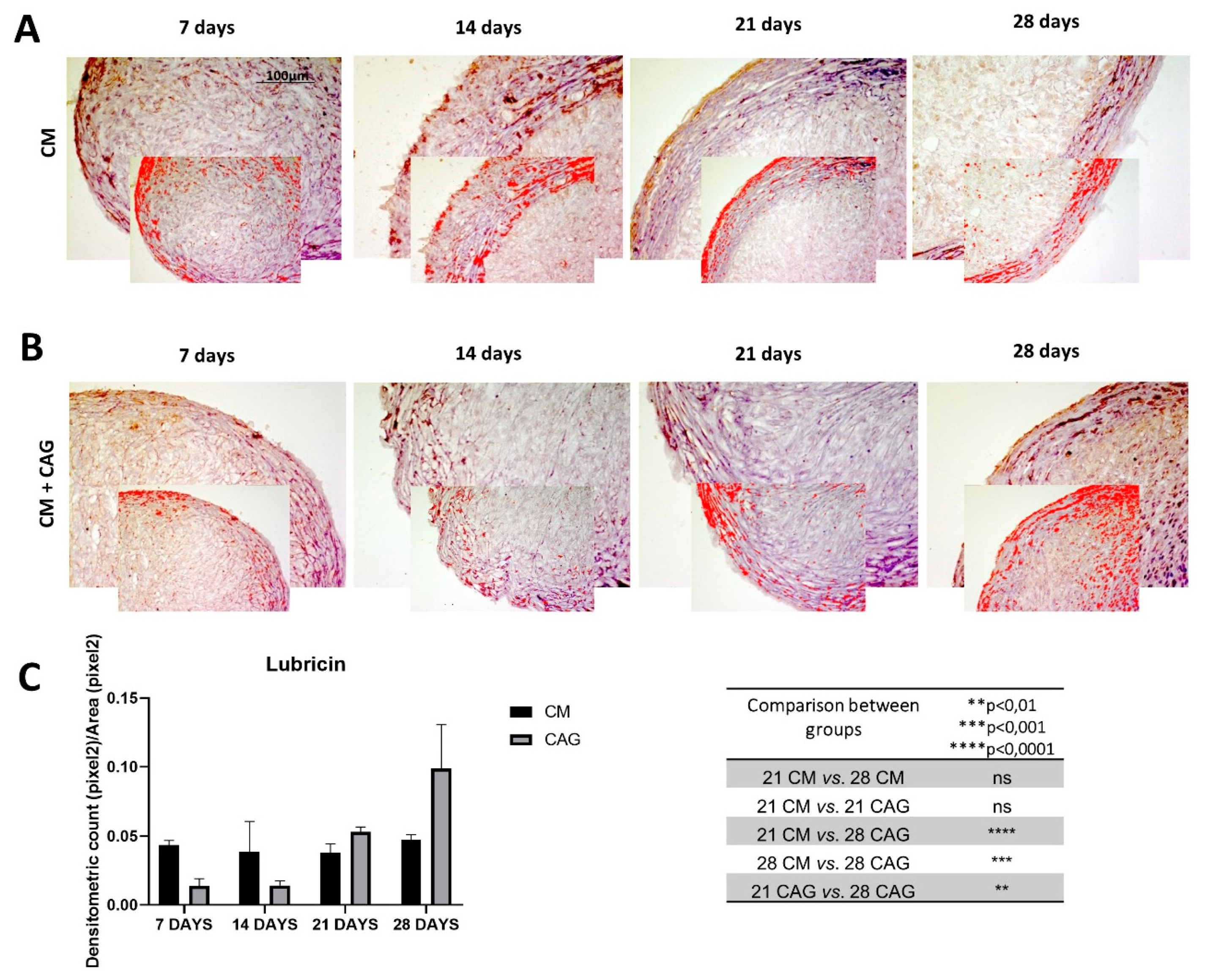 Cells 09 00347 g006