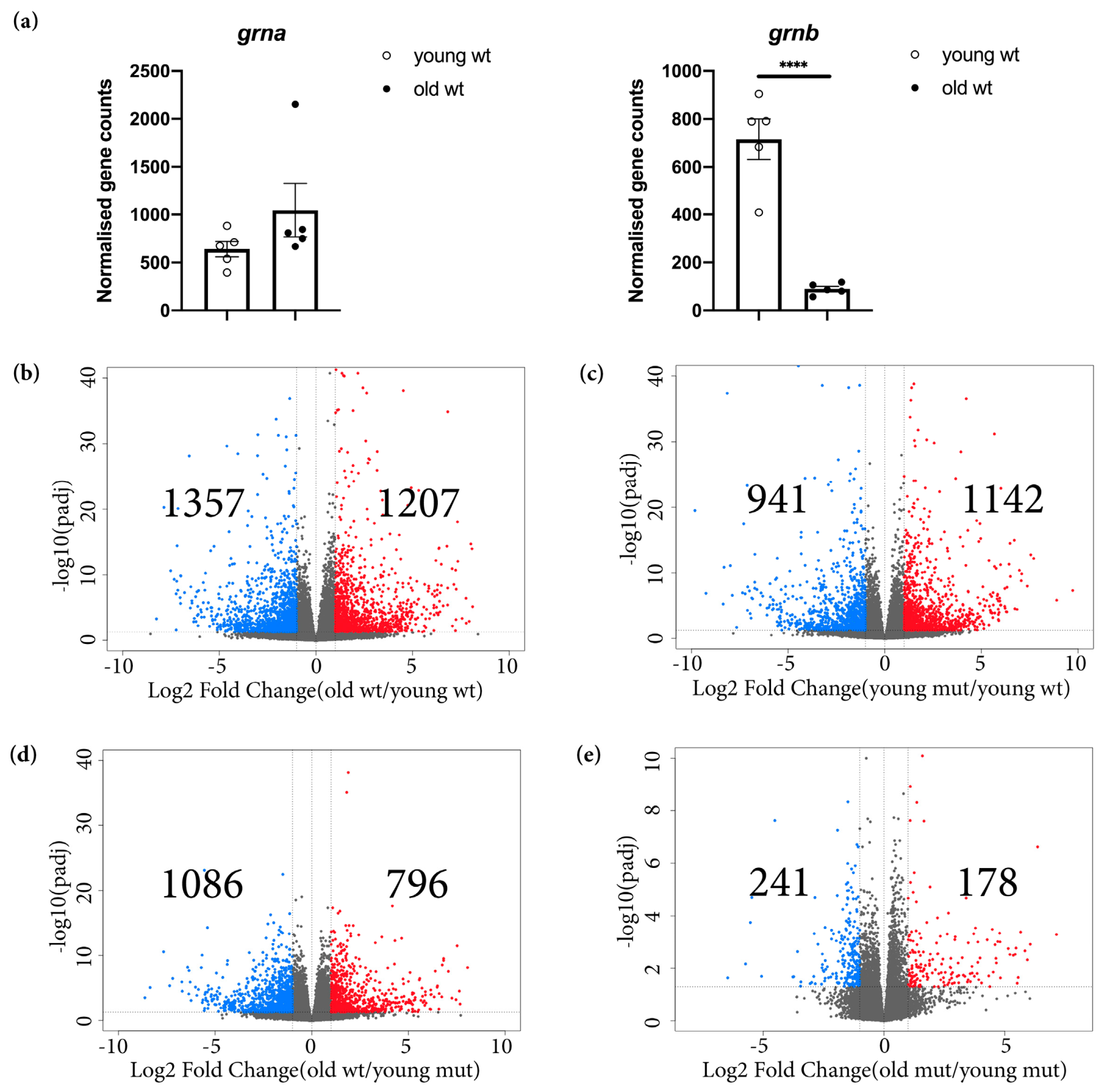 Cells 09 00350 g004 Cells 09 00350 g004