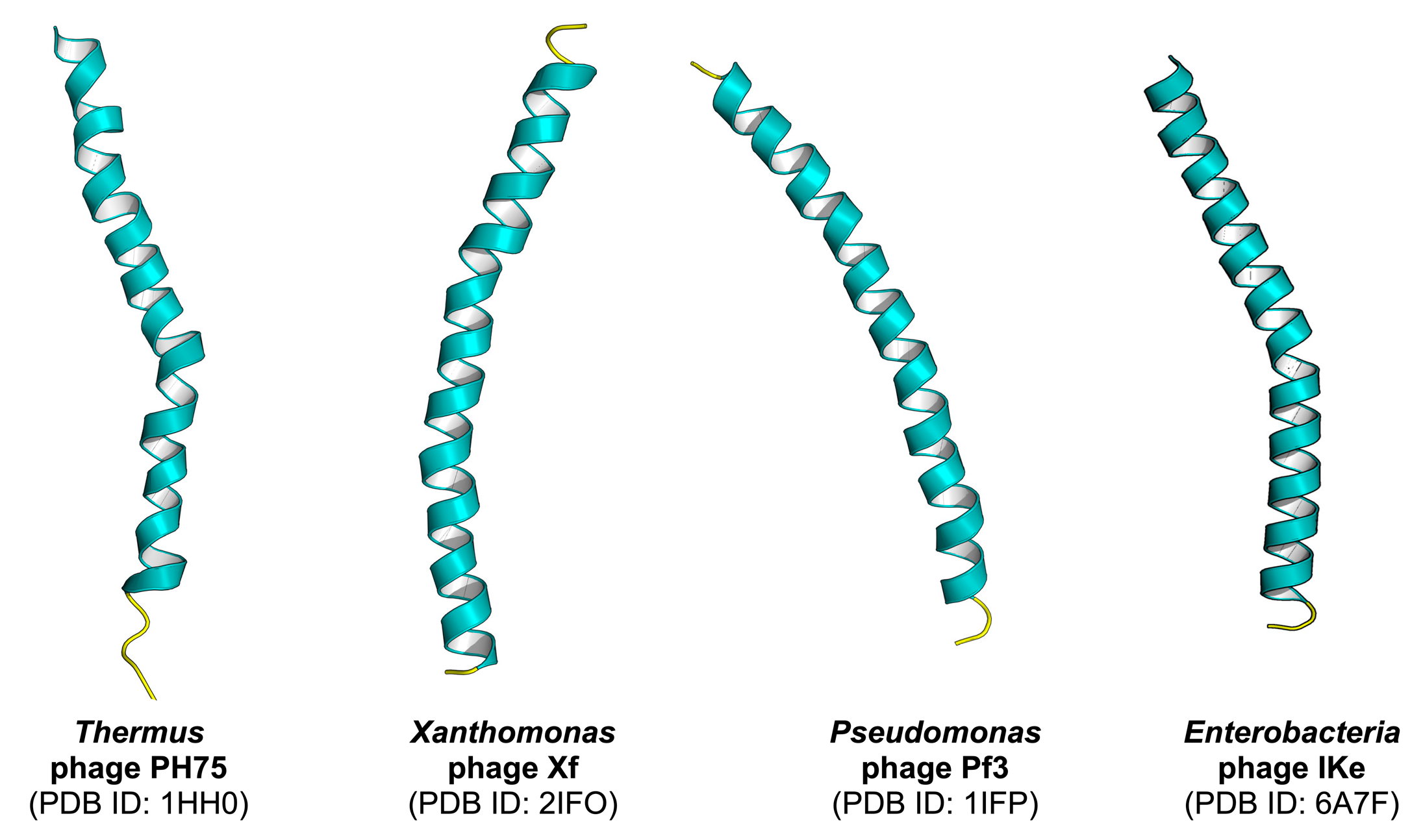 Cells 09 00353 g004 Cells 09 00353 g004
