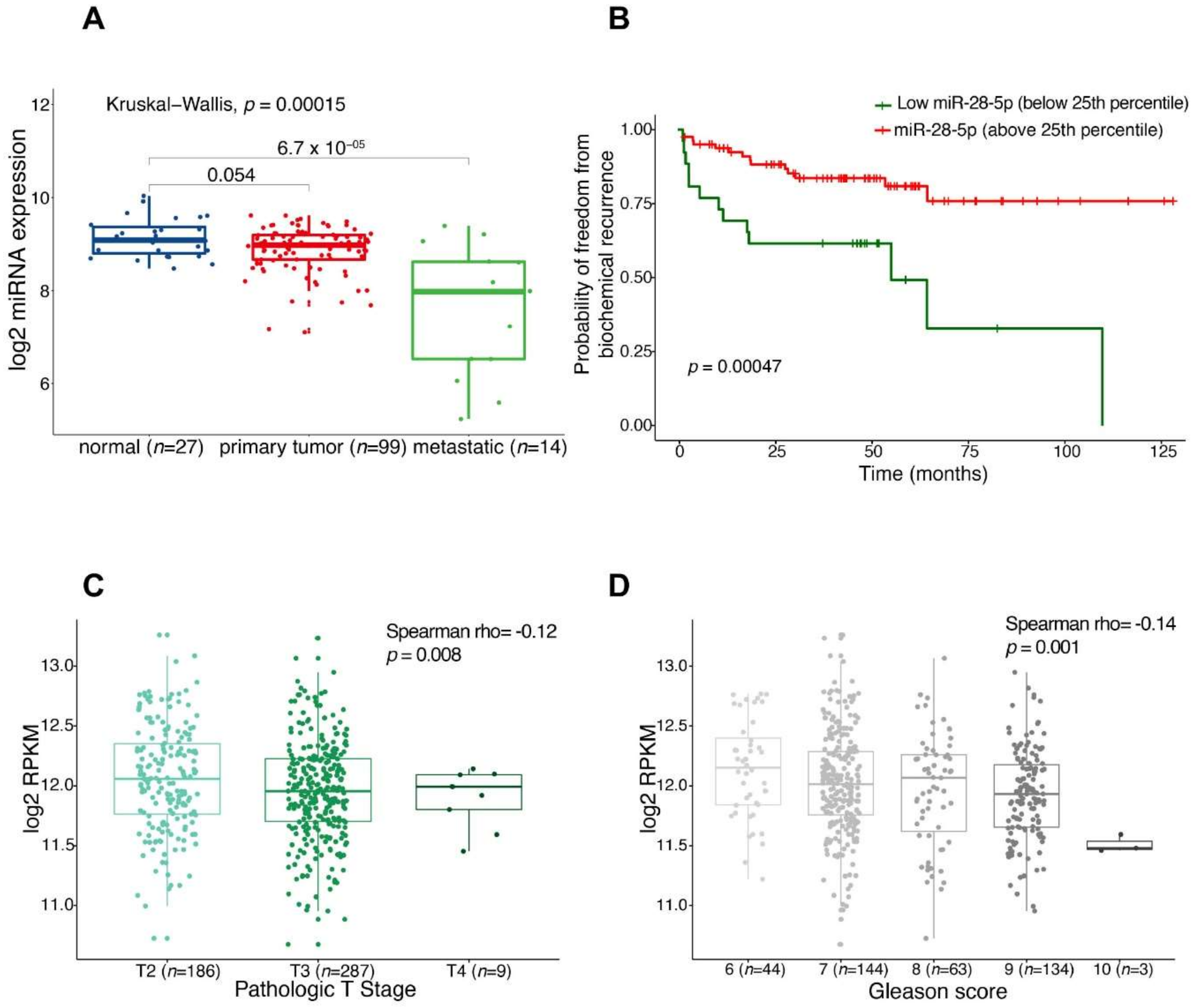 Cells 09 00354 g002 Cells 09 00354 g002