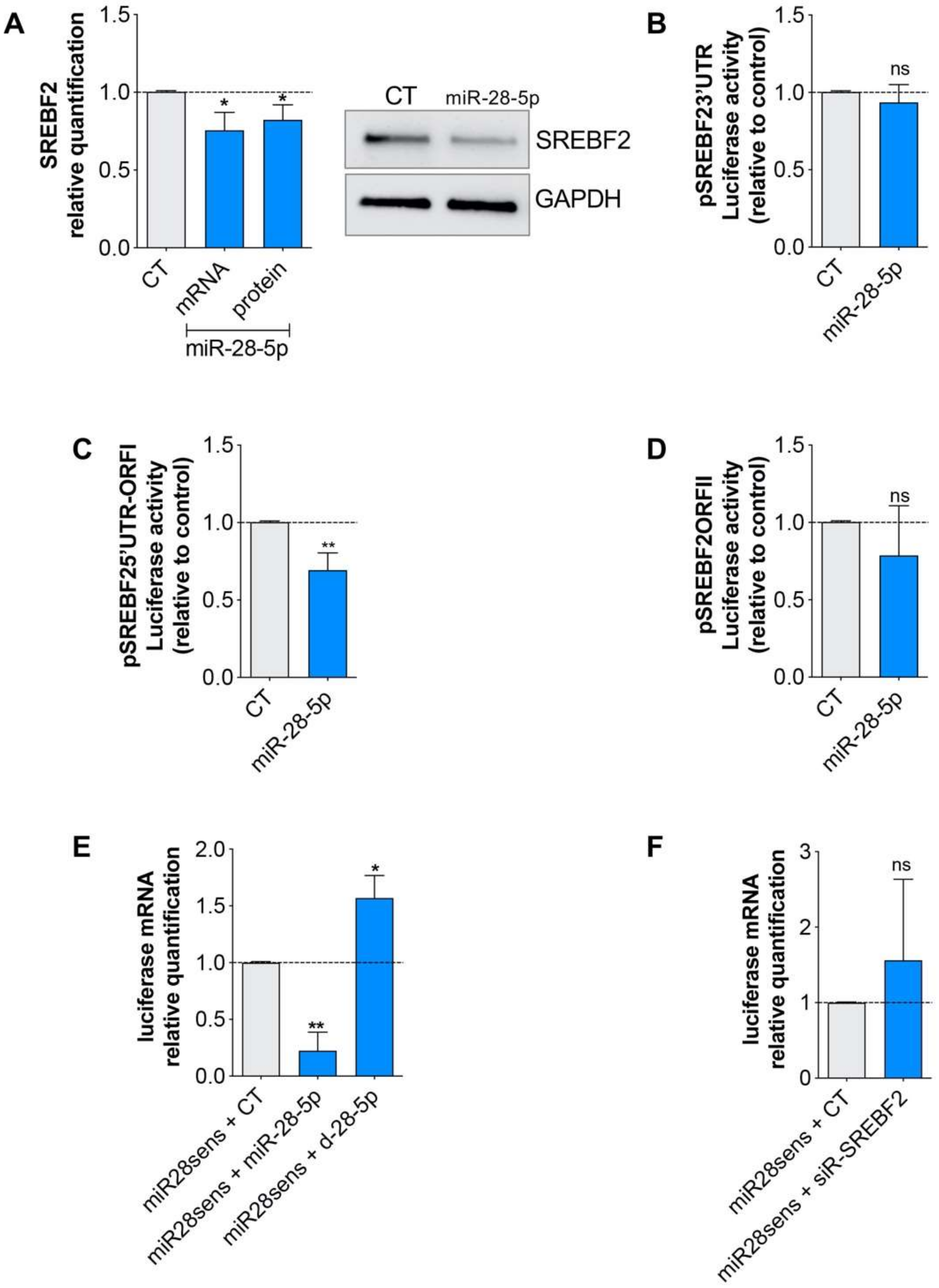 Cells 09 00354 g005 Cells 09 00354 g005