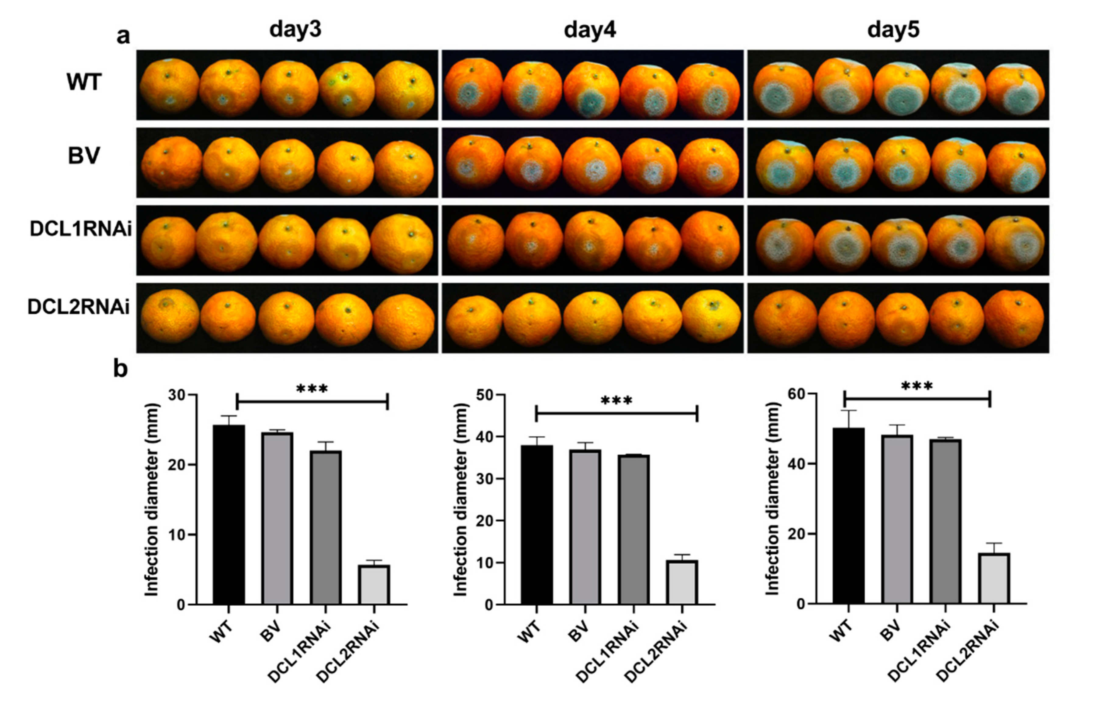 Cells 09 00363 g002 Cells 09 00363 g002