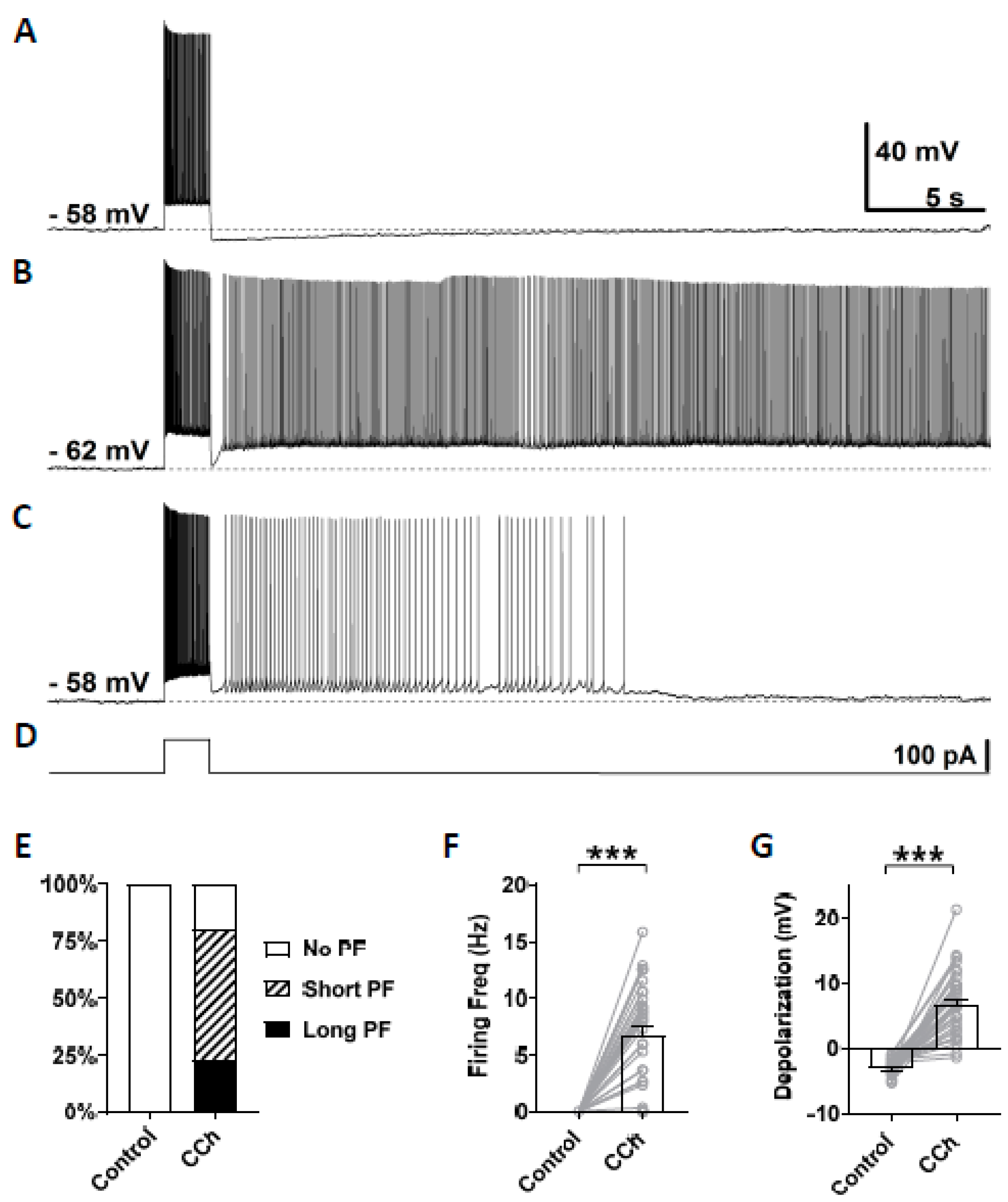 Cells 09 00365 g002